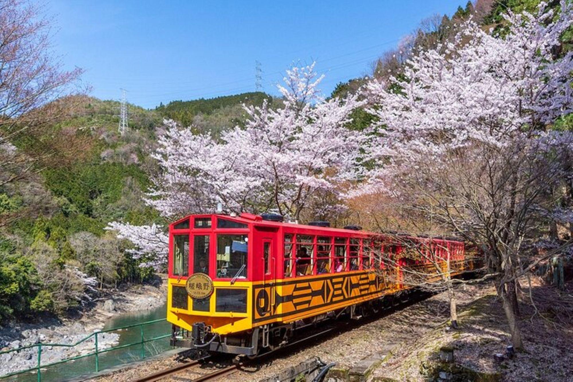 Kyoto Sagano Romantic Train & Hozugawa River Boat Adventure