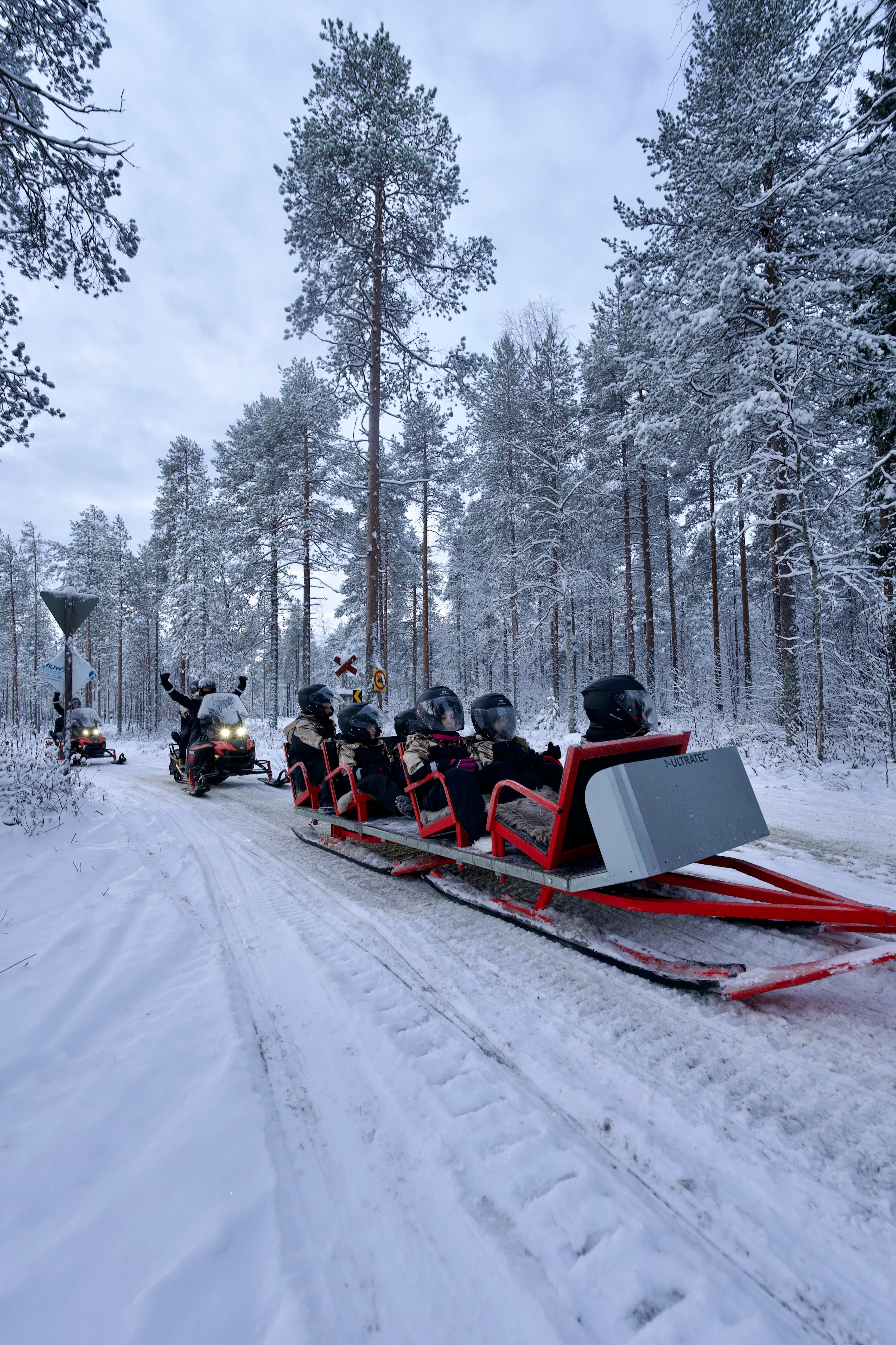 Rovaniemi Arctic Snowmobile Safari with Local Guide
