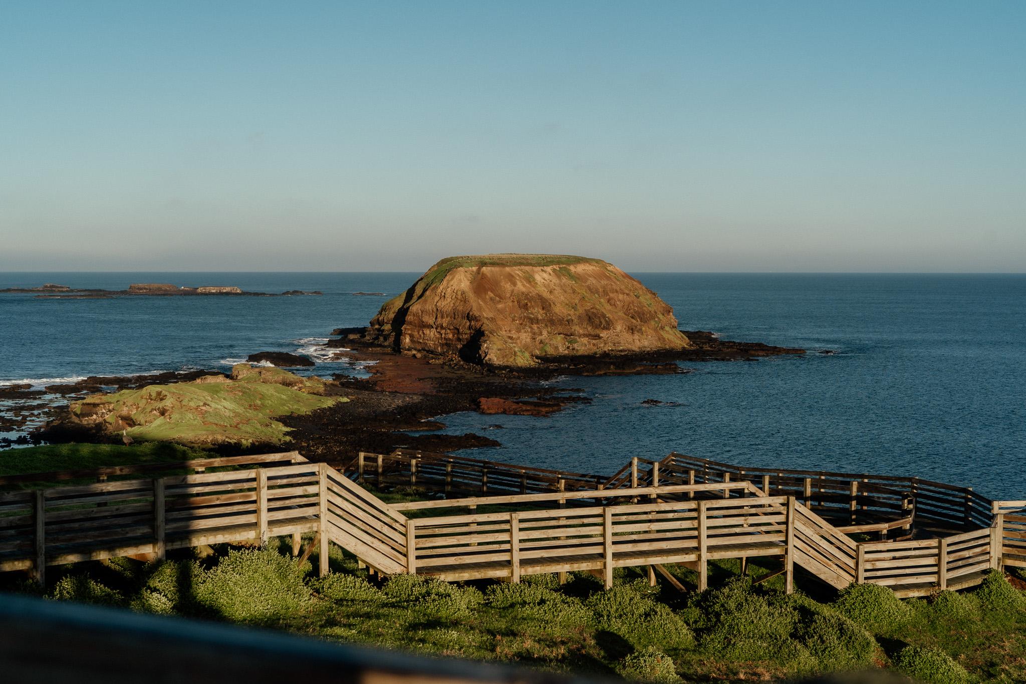 Phillip Island Penguin Parade & Wildlife Day Trip