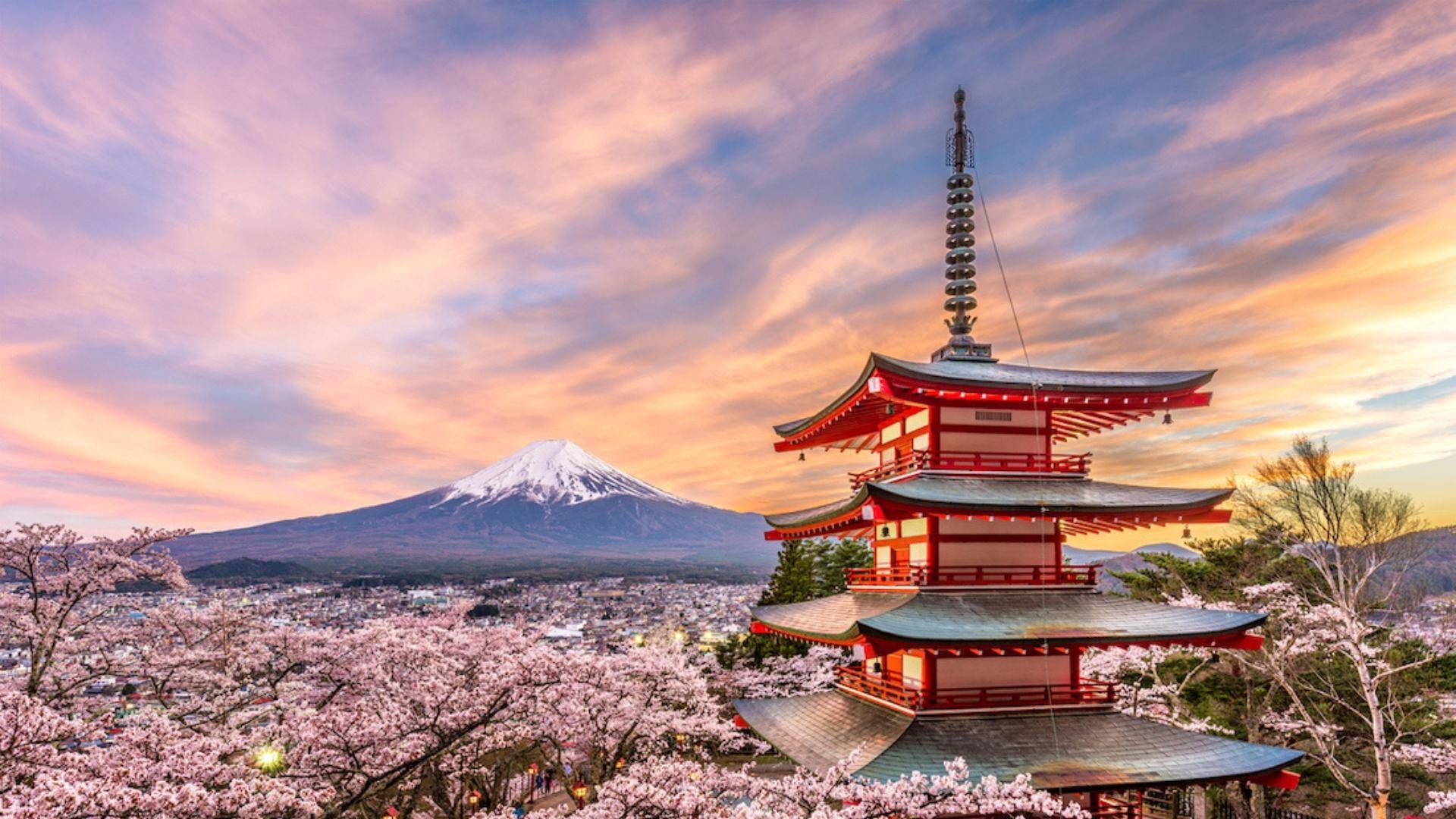 Mt. Fuji Iconic Views & Photography Day Trip from Tokyo