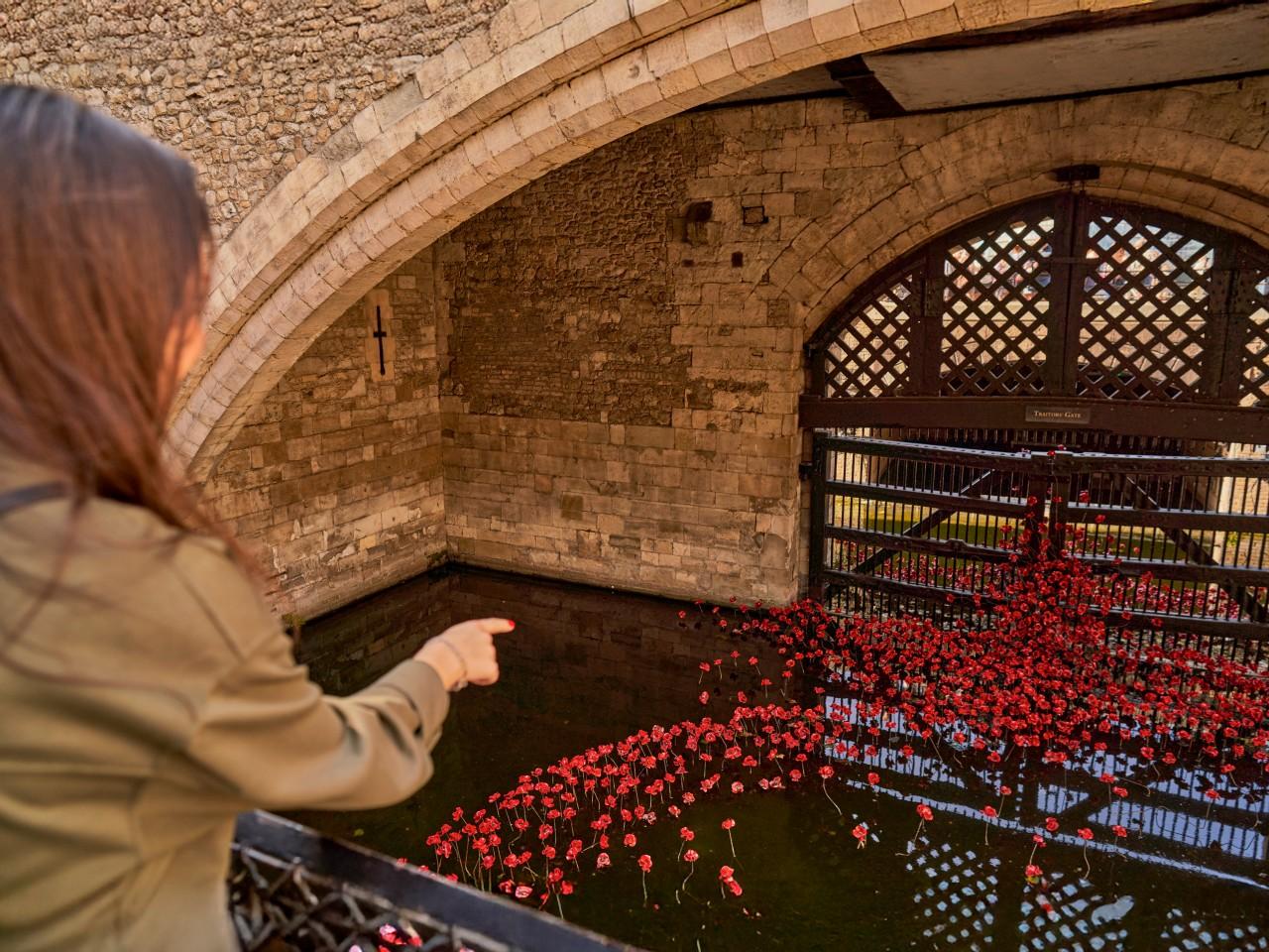 Tower of London tour — Crown Jewels and historic fortress — image 6