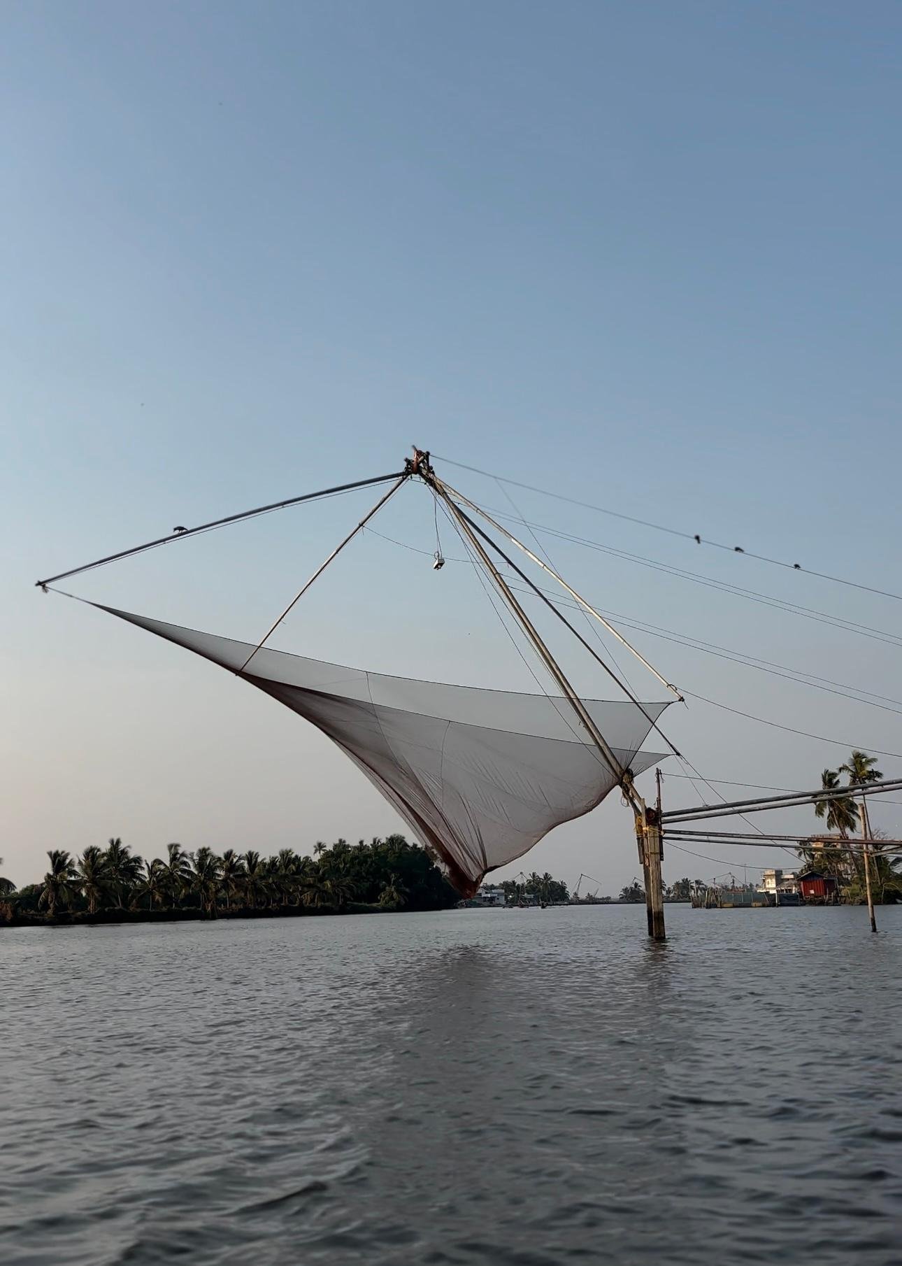 Kochi Backwater Kayaking: Sunrise or Sunset Tour