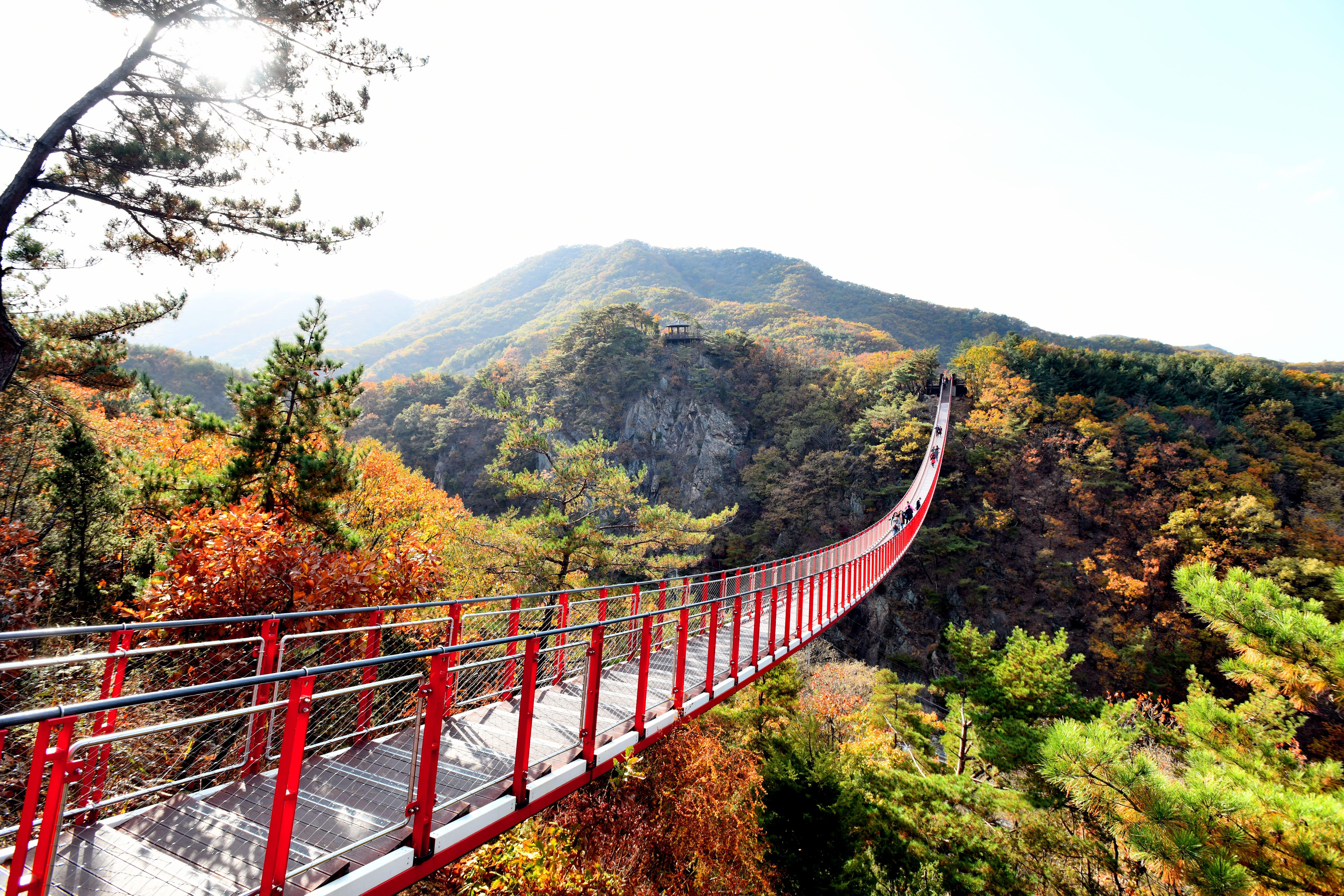Seoul DMZ Tour: 3rd Infiltration Tunnel & Gamak Suspension Bridge