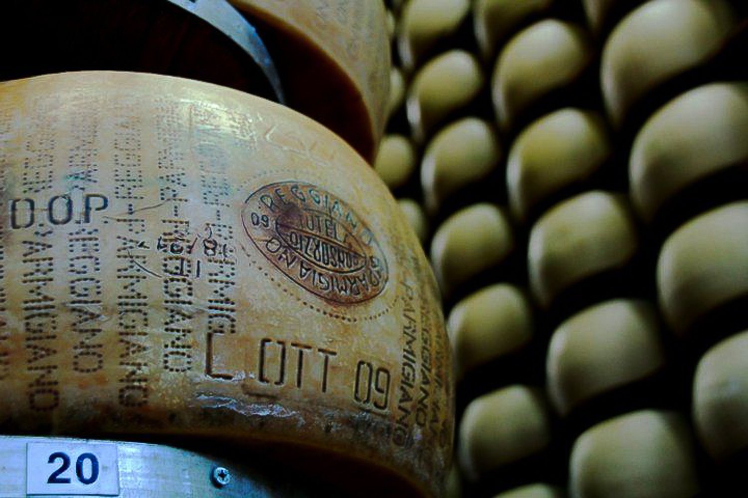 cheese tasting in Parma — photo 1