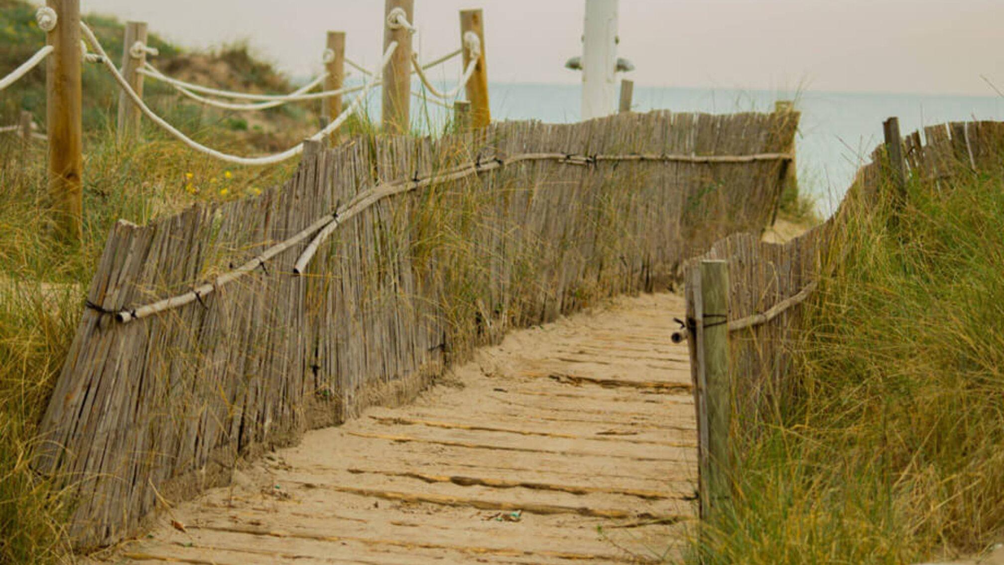Albufera Natural Park Eco-Tour and Sunset Cruise from Valencia