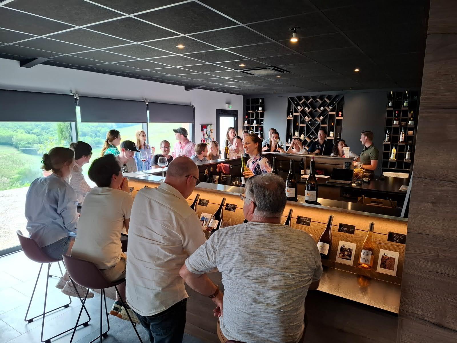 wine tour in Lyon — From Lyon: Beaujolais Wine Route Half-Day Tour - 2026 (Verified Reviews)