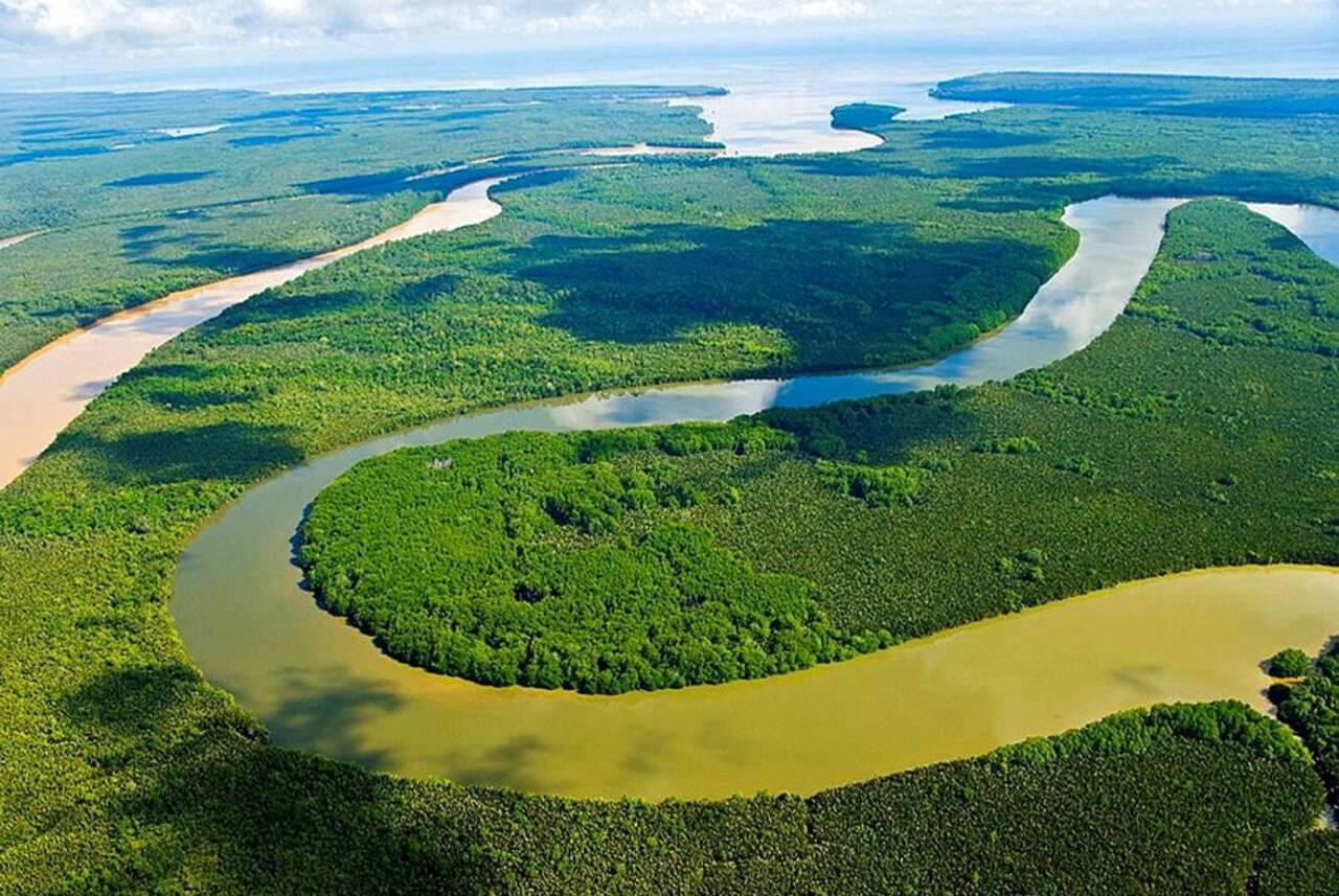 Kinabatangan River Wildlife Safari from Sandakan