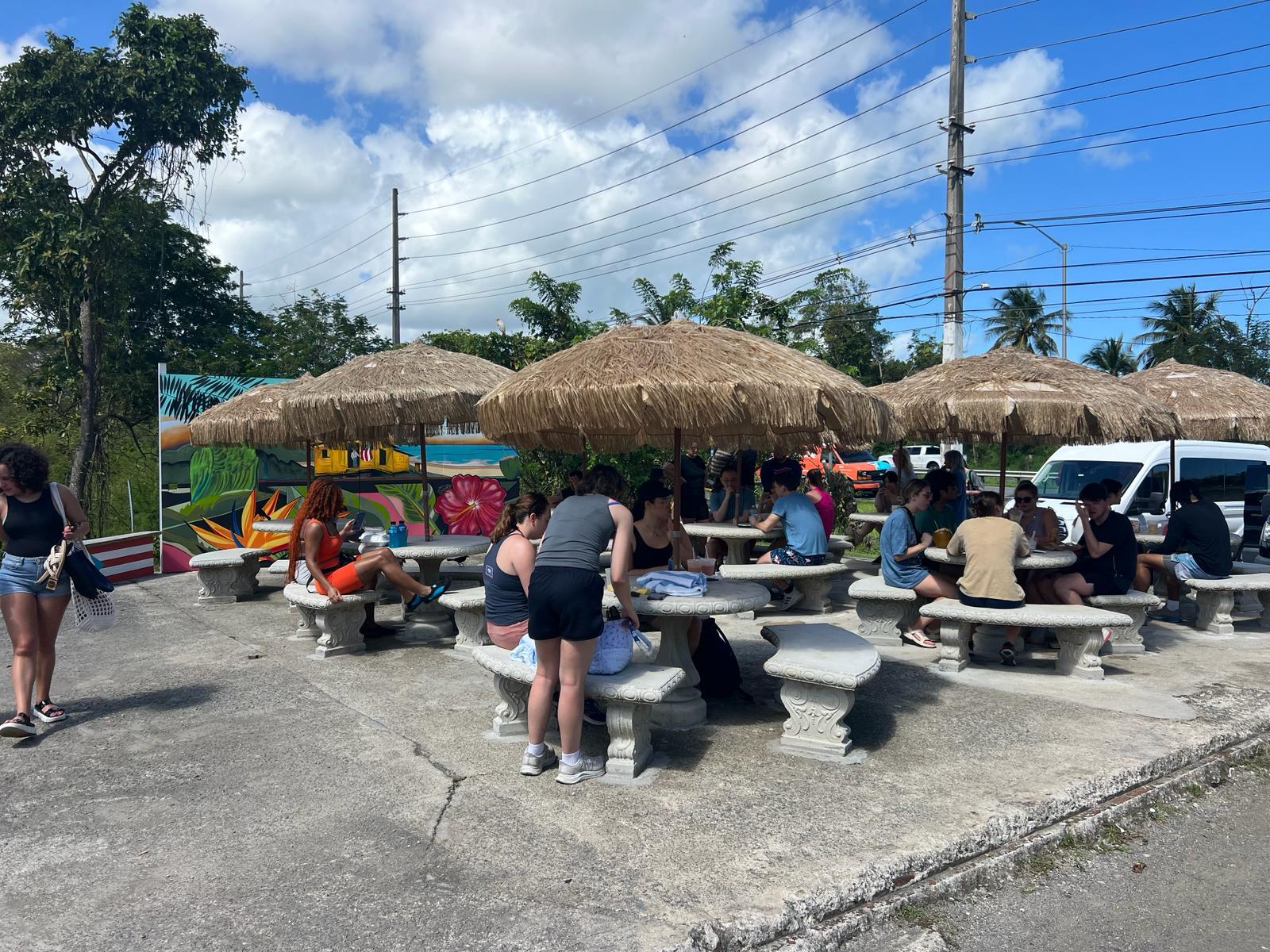 El Yunque Rainforest Adventure: Waterfalls, Slides & Luquillo Beach