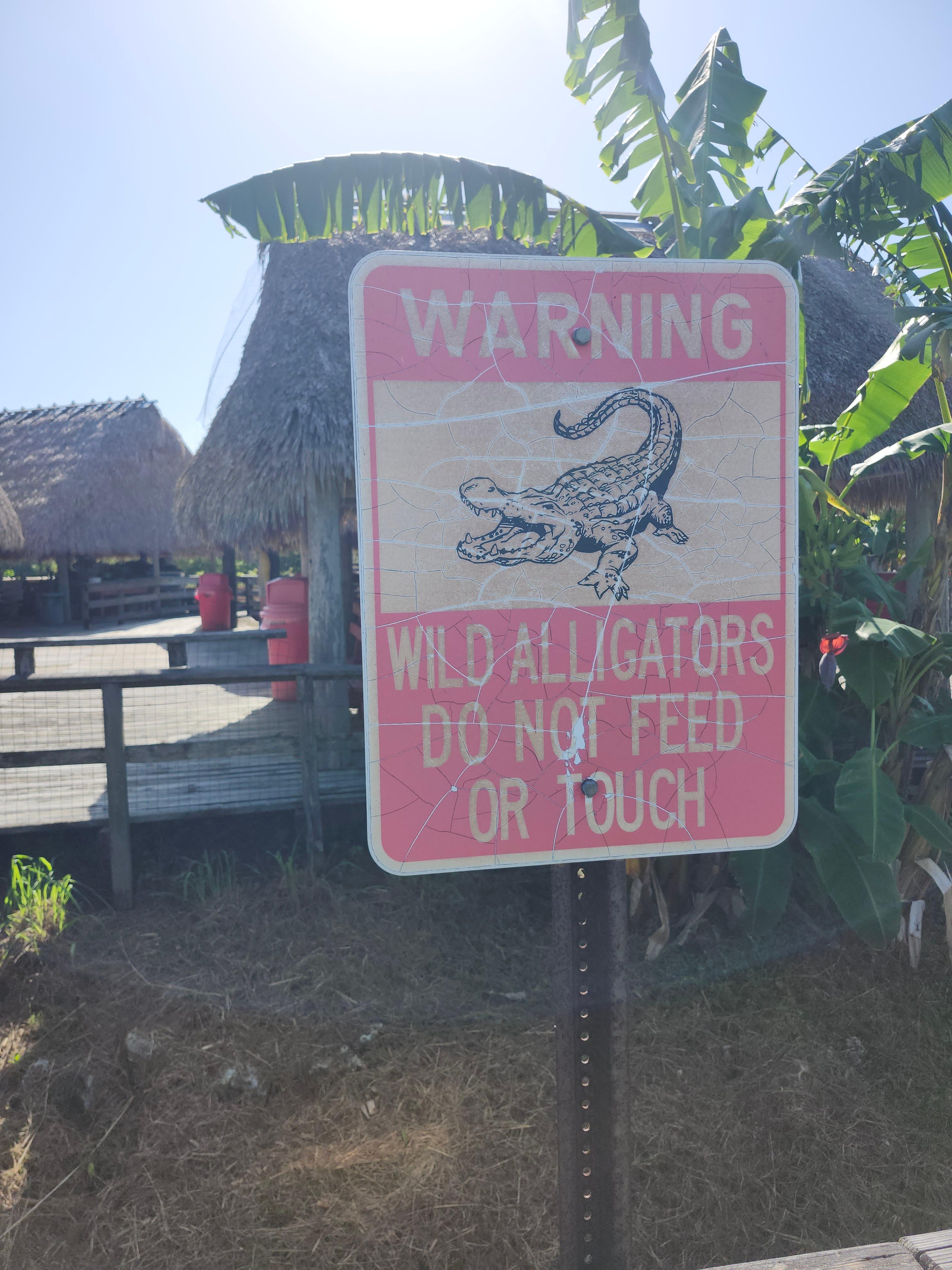 Small-Group Everglades Eco-Adventure & Private Islands Tour