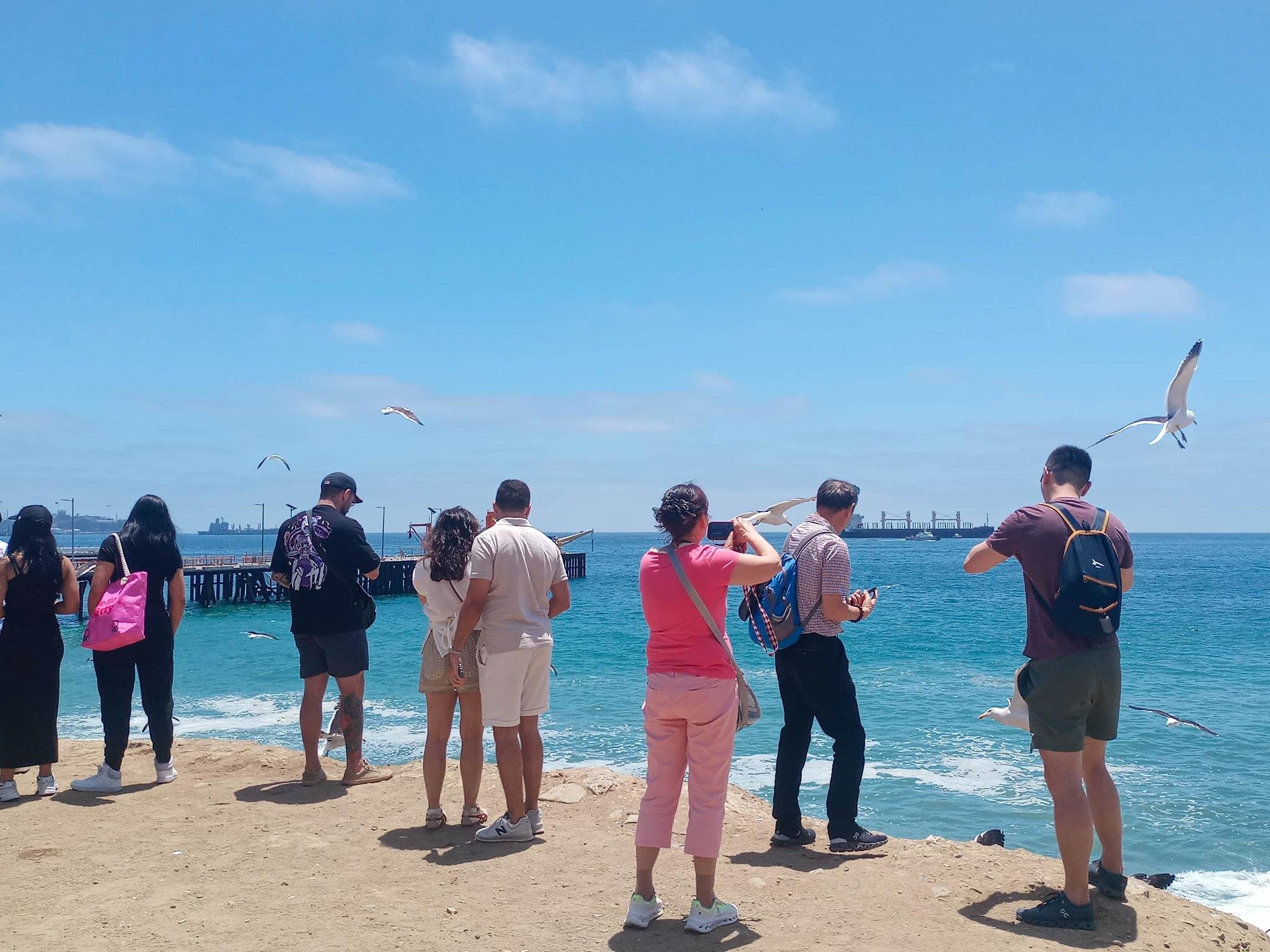 Valparaíso wine tour, the Casablanca Valley and Valparaíso's hills — image 33