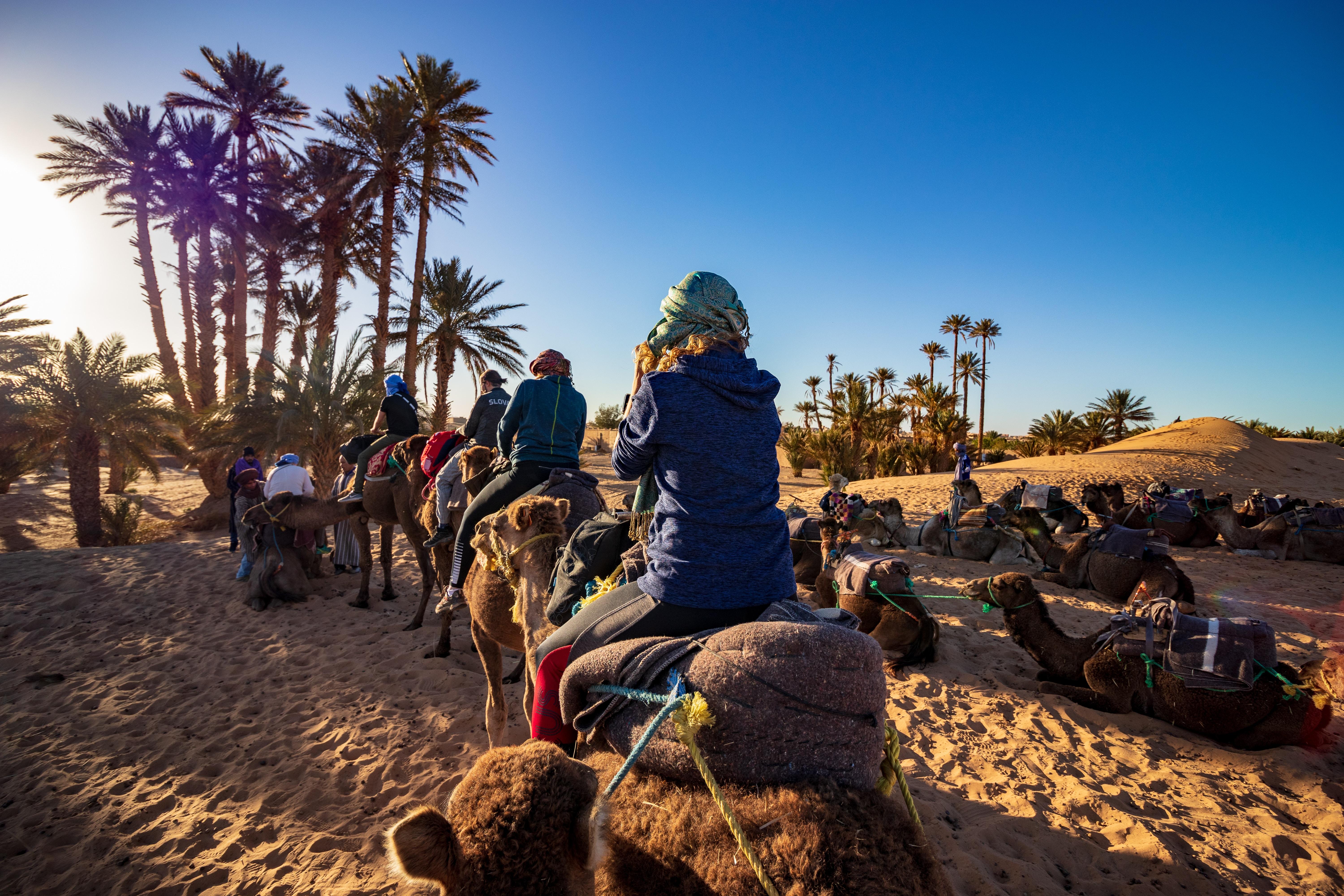 Marrakech Day Tour from Casablanca: Camels & Carriage Ride