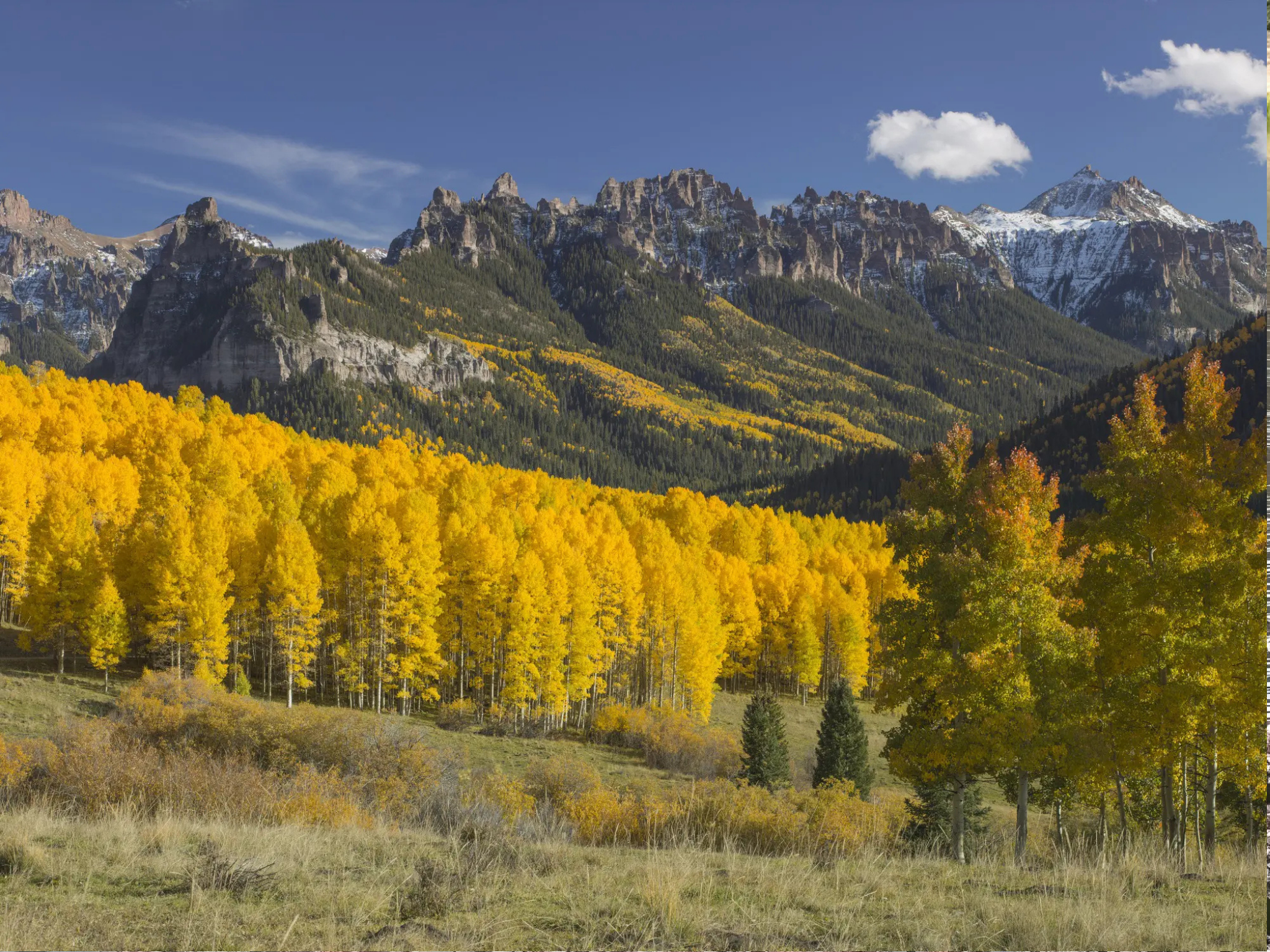 Rocky Mountain National Park Full-Day Tour from Denver