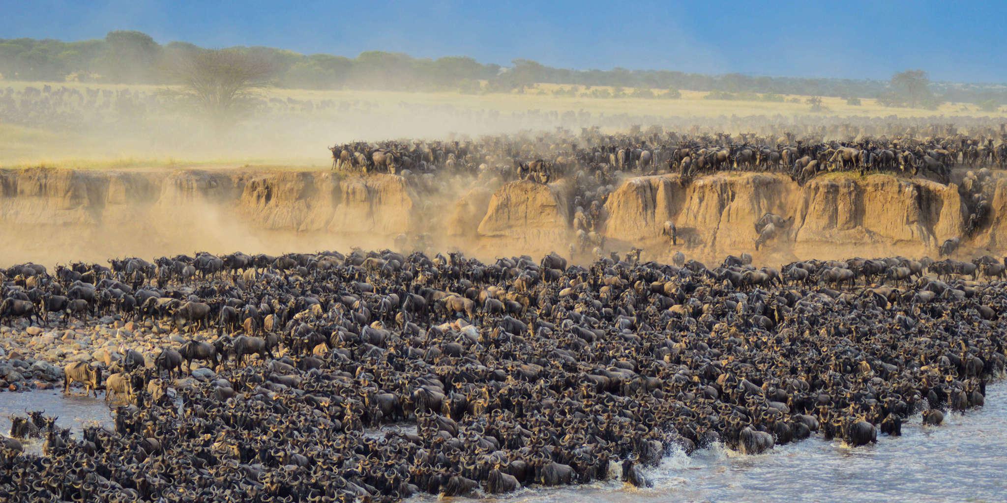 4-Day Great Wildebeest Migration Safari in Masai Mara (2026)