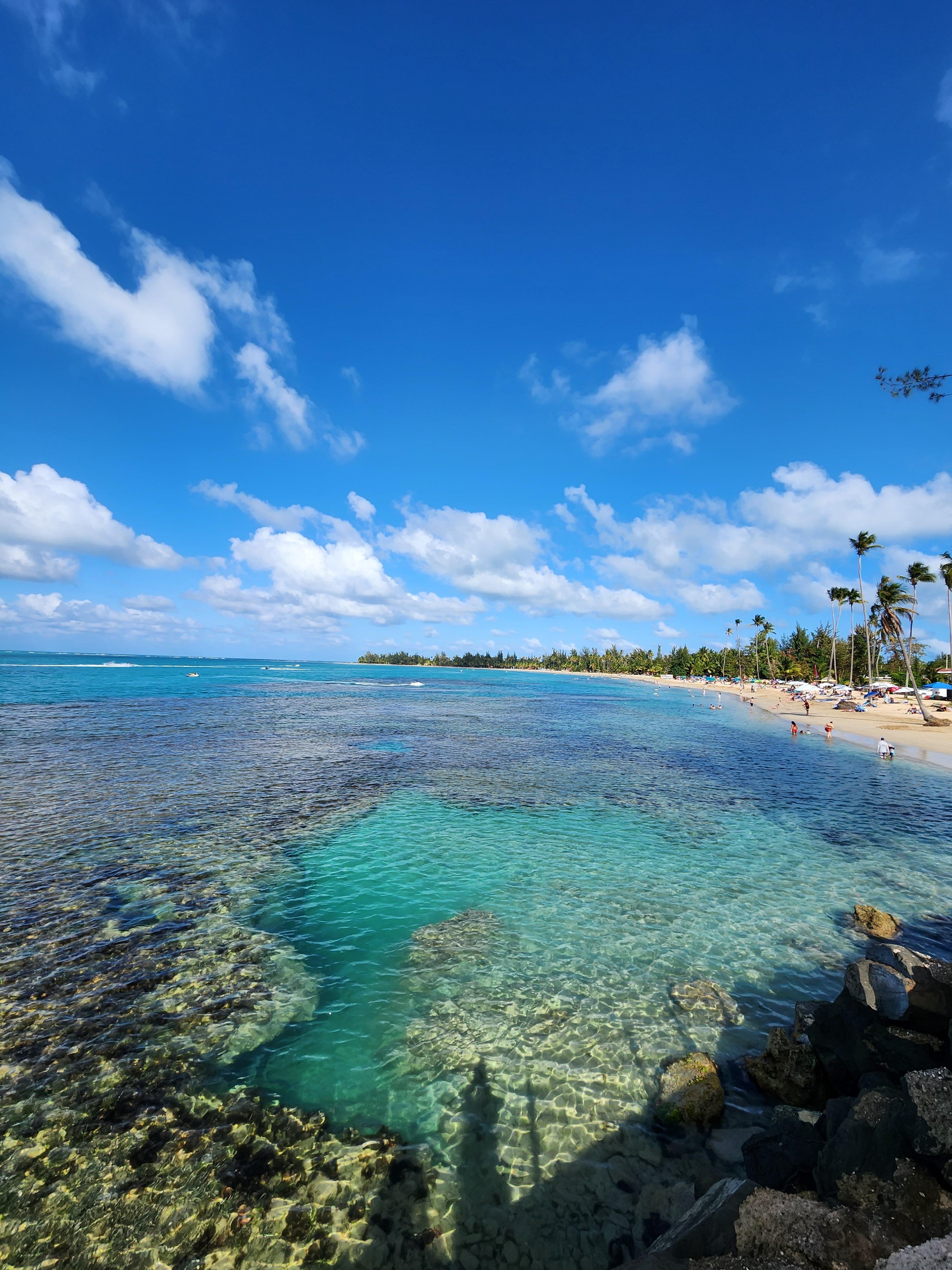 El Yunque Rainforest Adventure: Ziplining, River Swim & Luquillo Beach