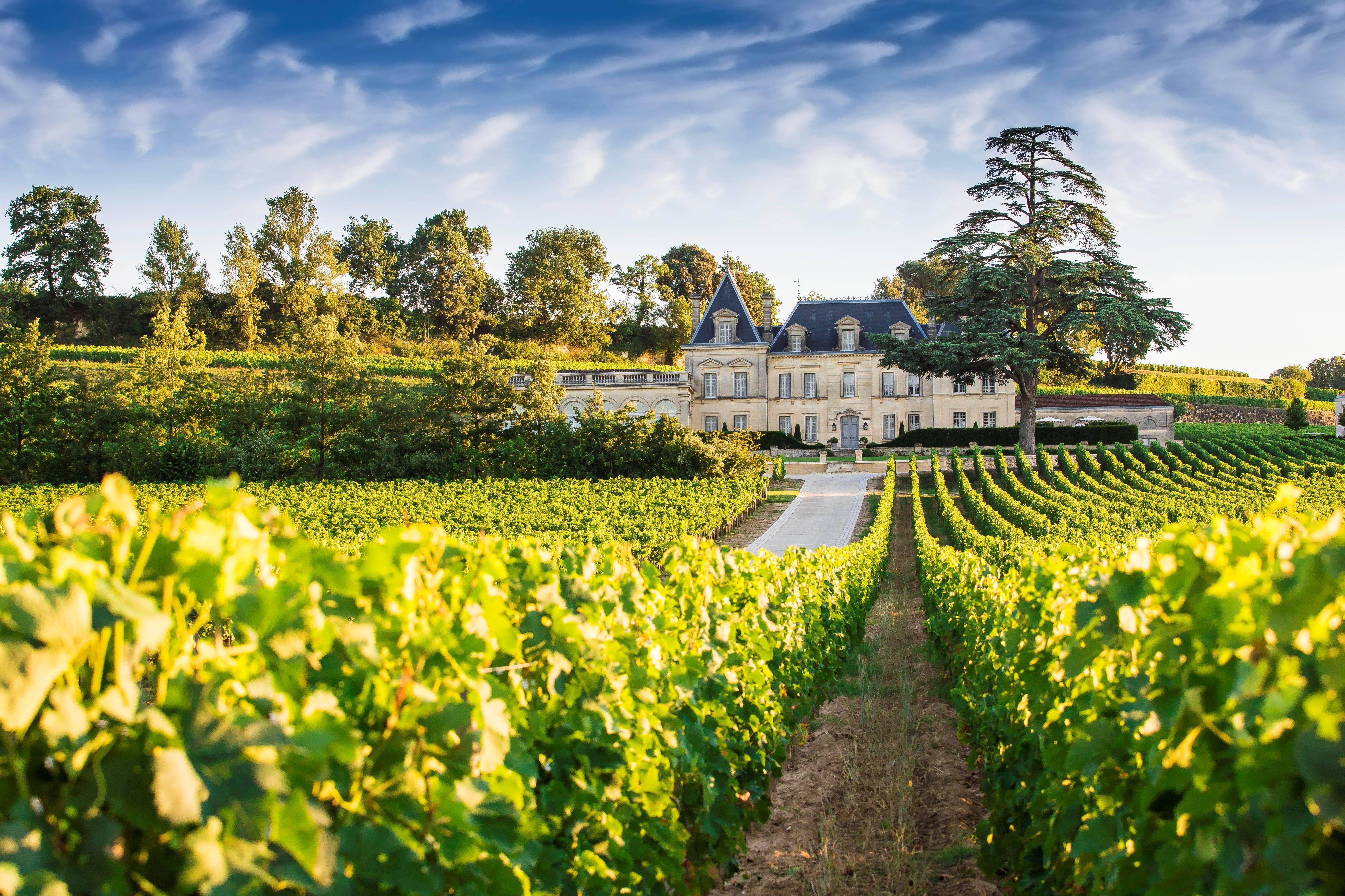 Private Saint-Émilion Wine Discovery Tour from Bordeaux