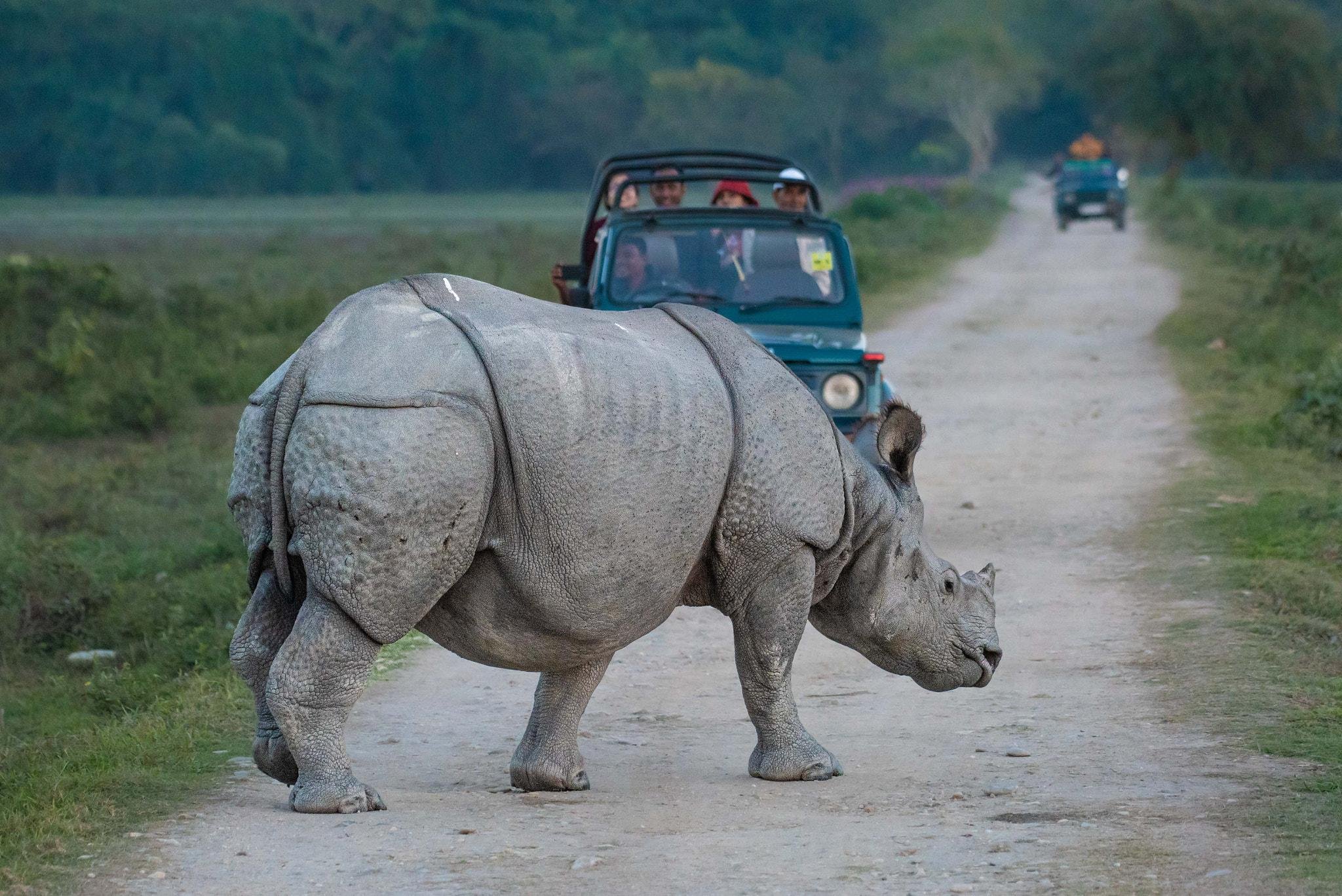 3-Day All-Inclusive Chitwan National Park Safari