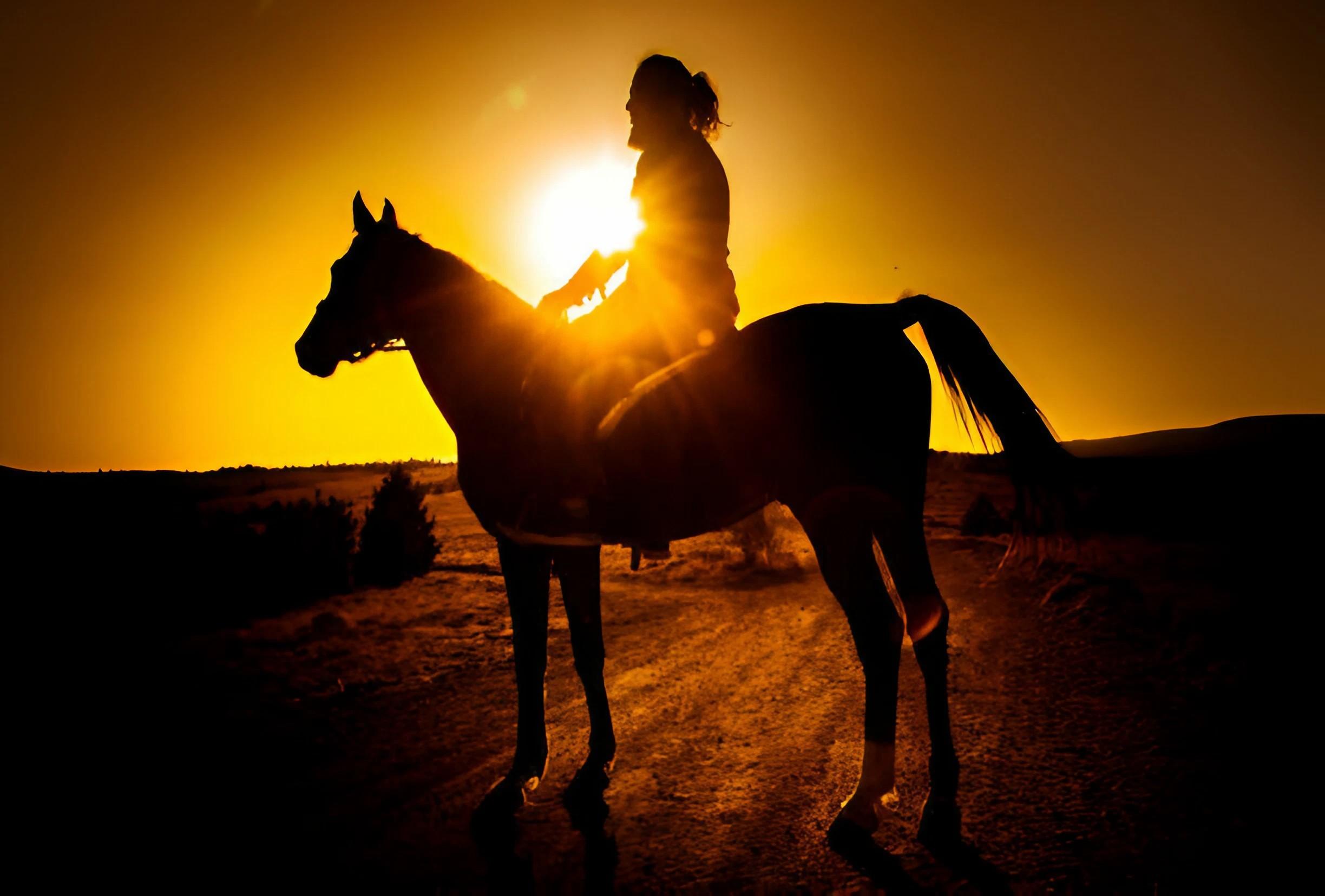 Sunset Horseback Ride at Macao Beach & Forest