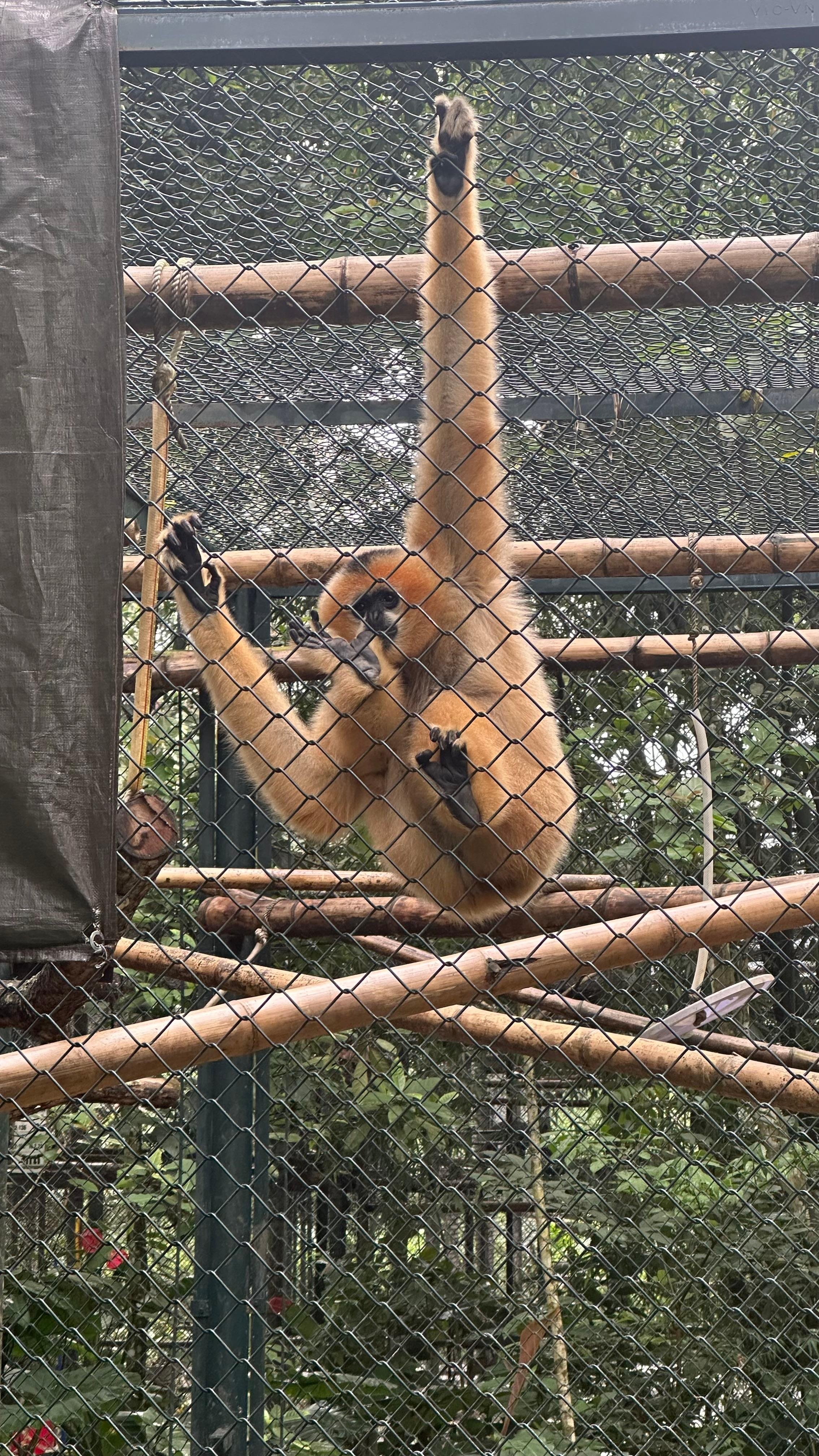 Cuc Phuong National Park Day Trek & Bear Sanctuary from Ninh Binh
