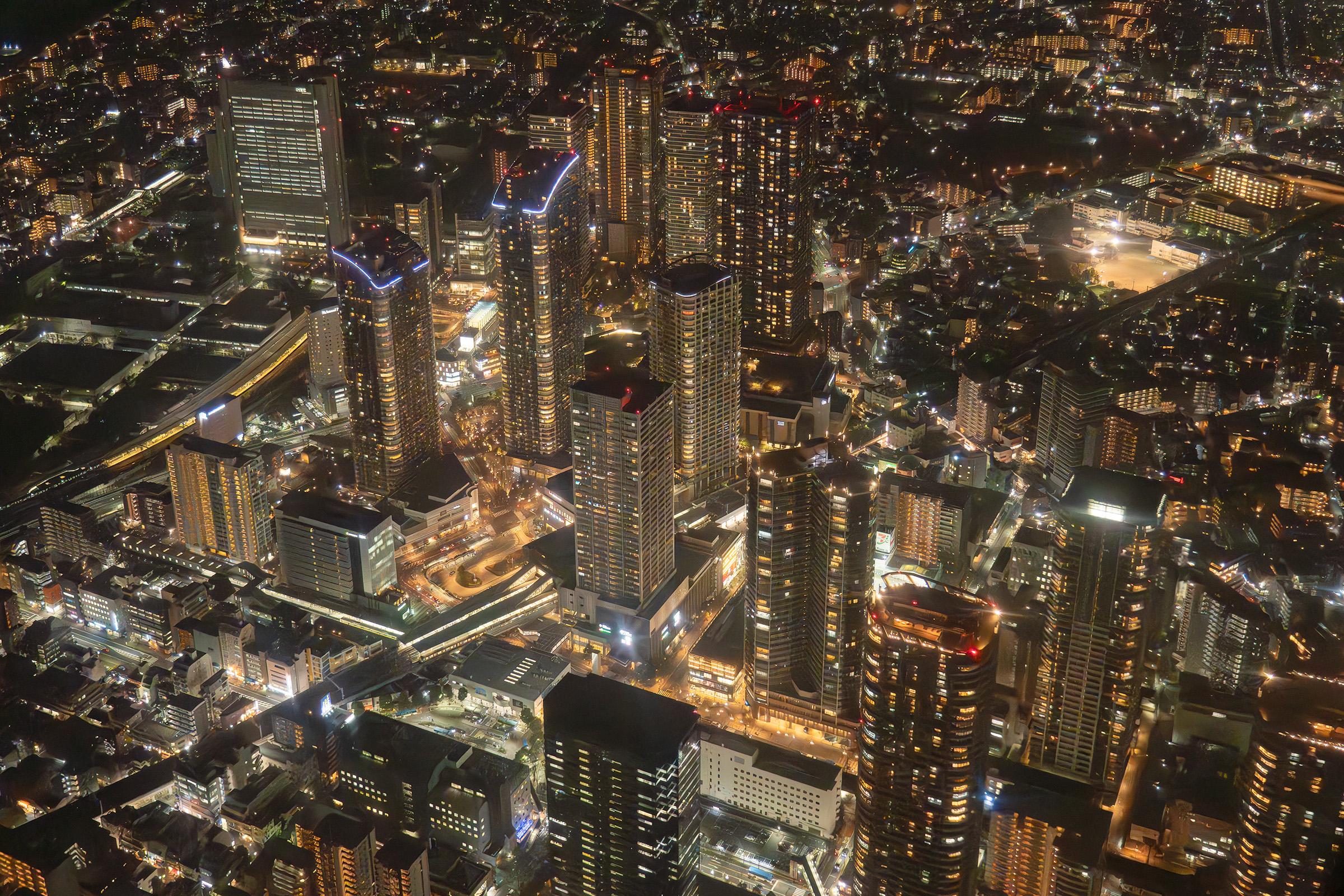 Tokyo helicopter tour view — image 6
