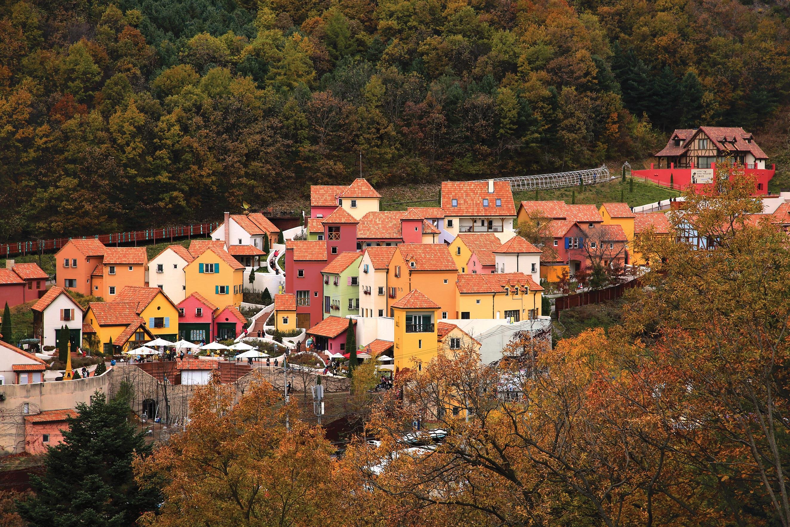Seoul: Nami Island & Petite France Tour with Railbike Option