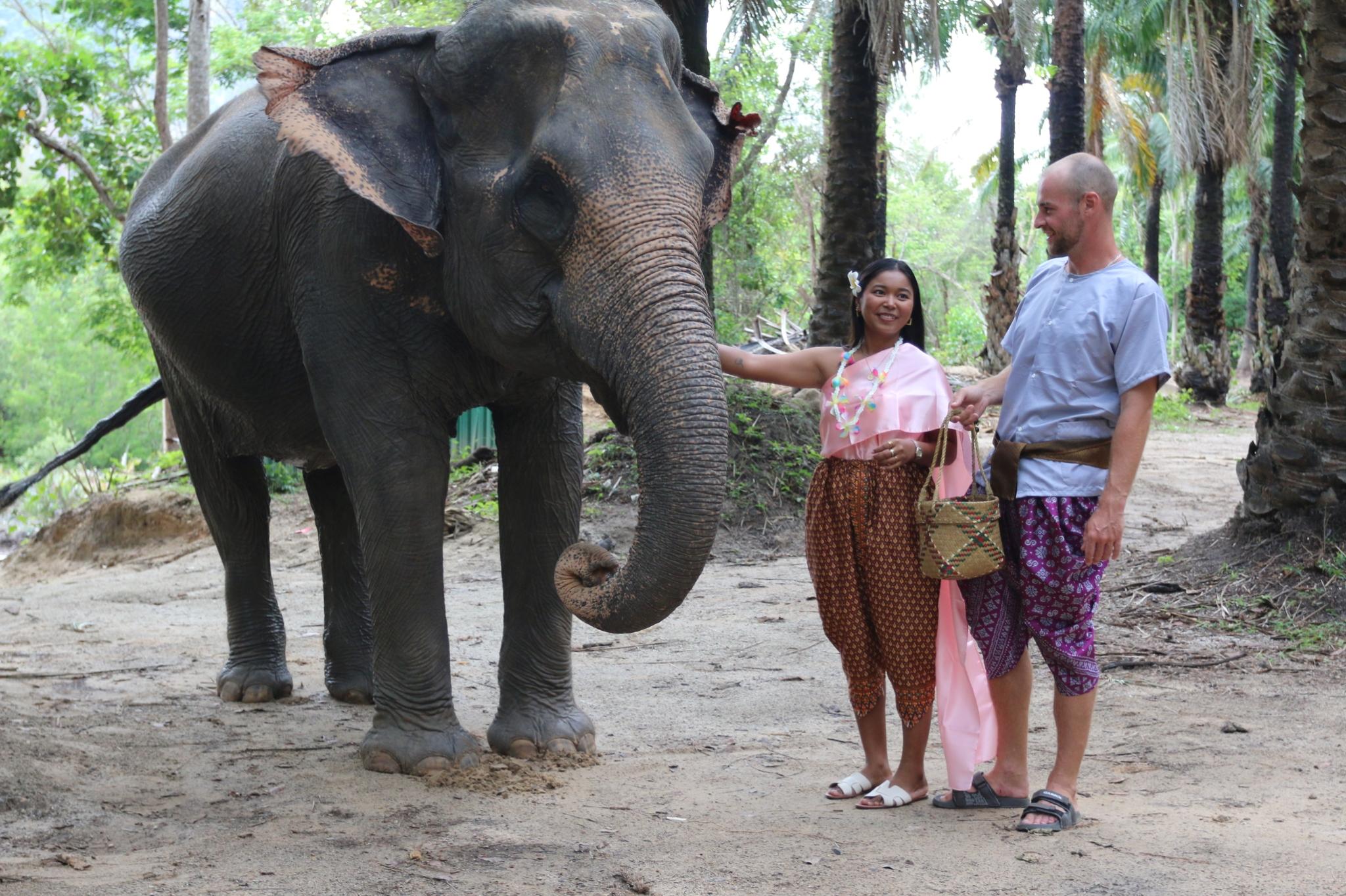 Krabi Elephant Feeding & Thai Dress Experience