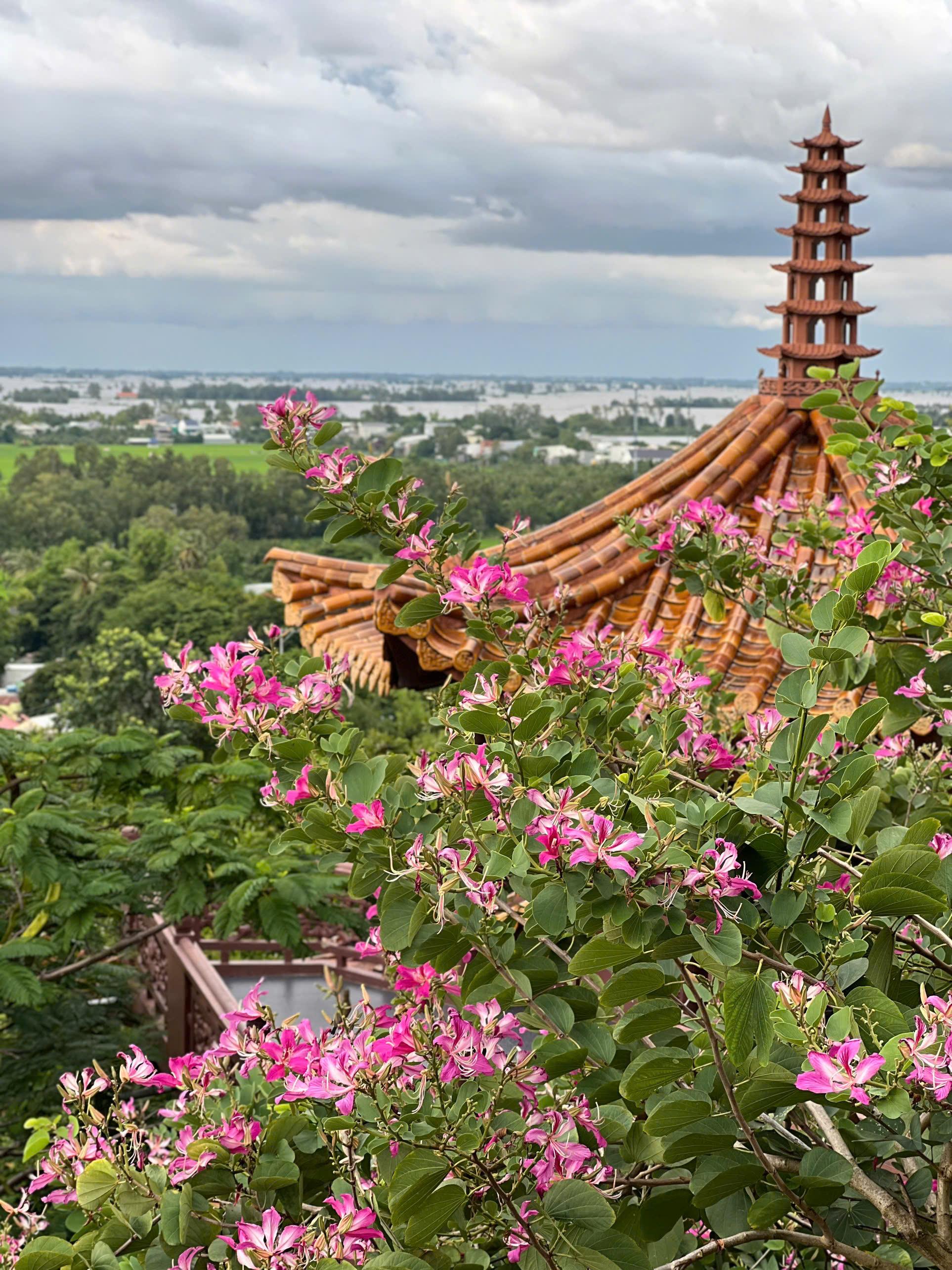 3-Day Mekong Delta Expedition: Ho Chi Minh to Phnom Penh