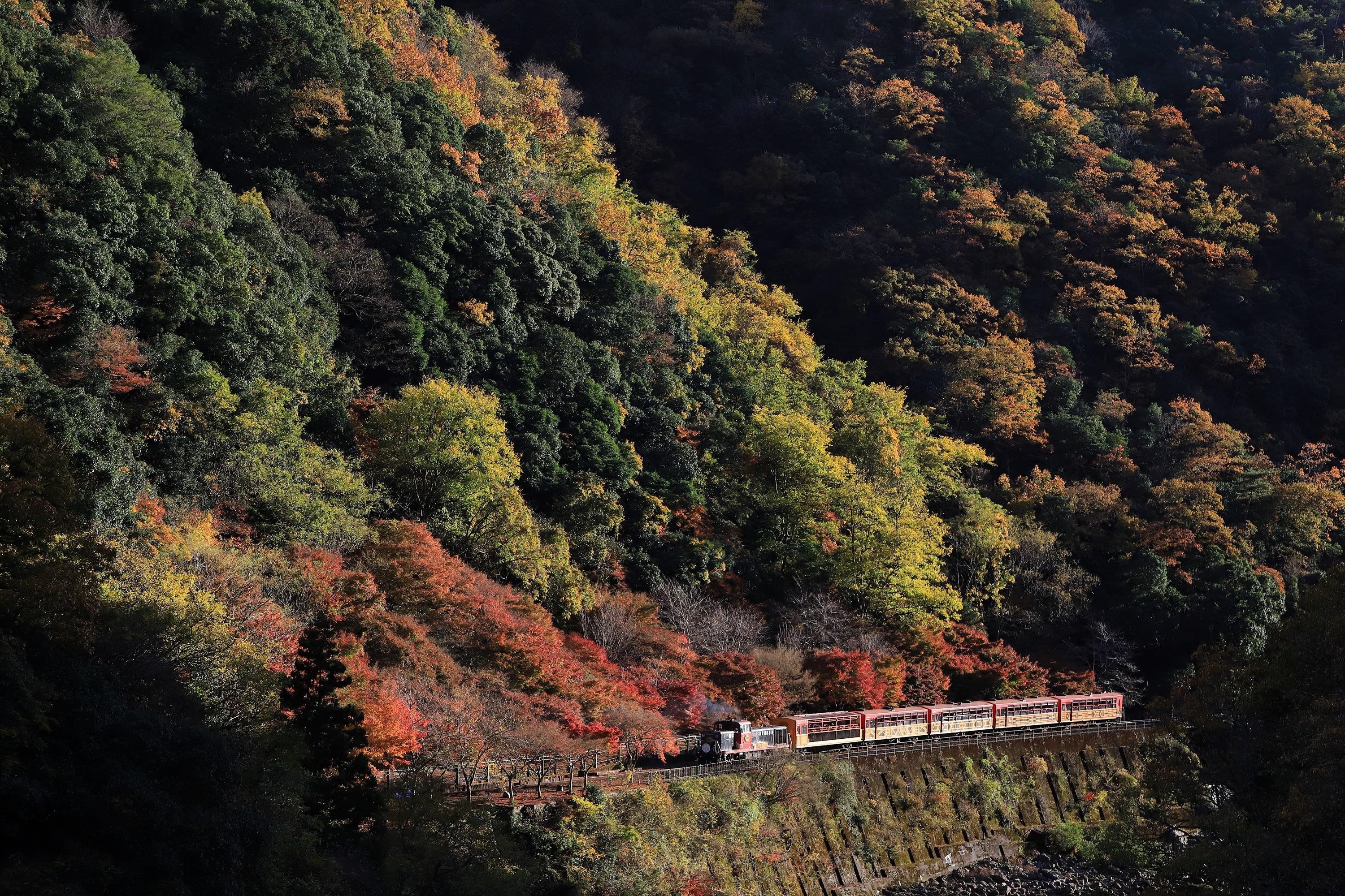 Arashiyama Discovery Tour with Optional Scenic Train Ride