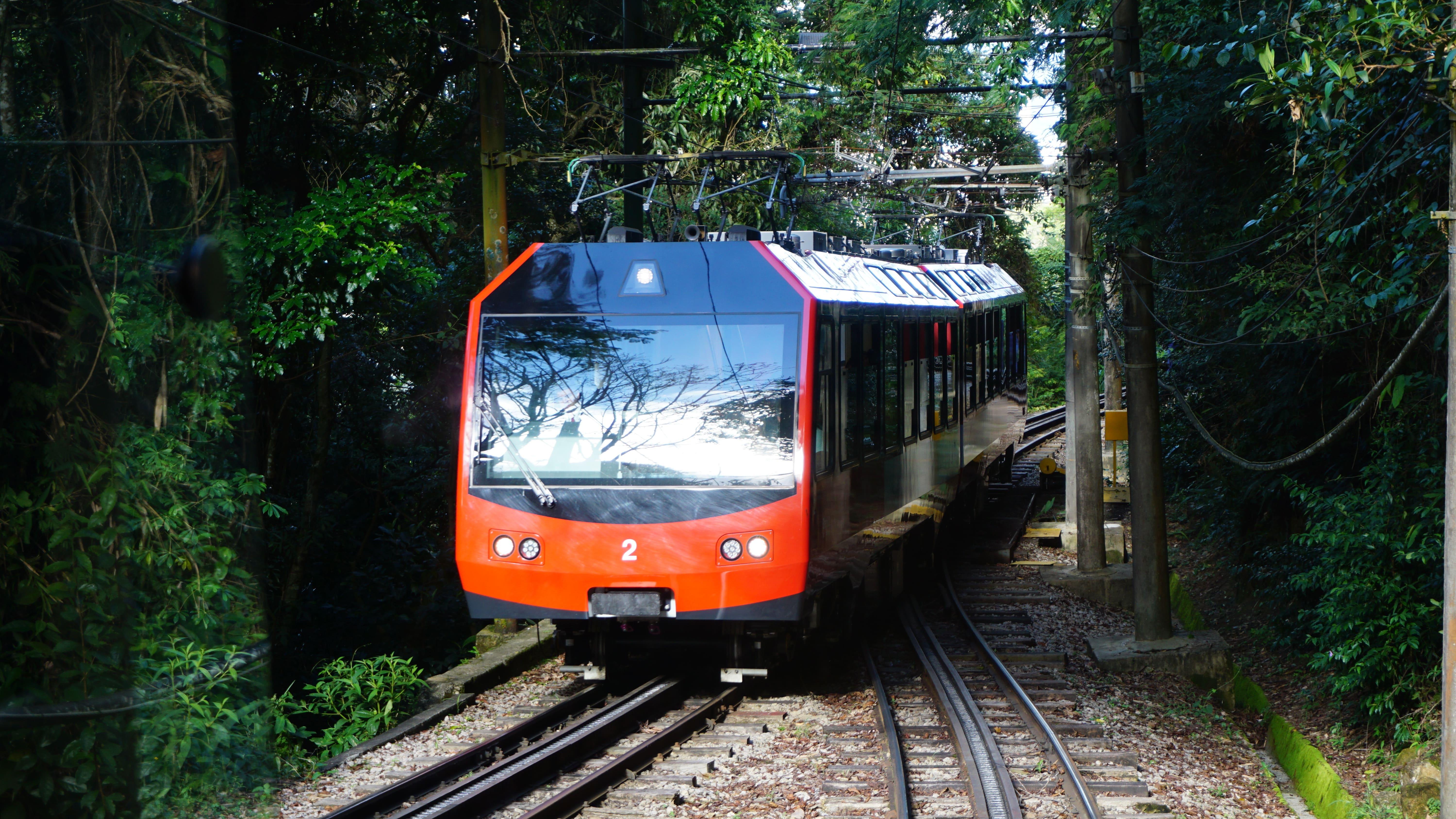 Corcovado Train Ride to Christ the Redeemer