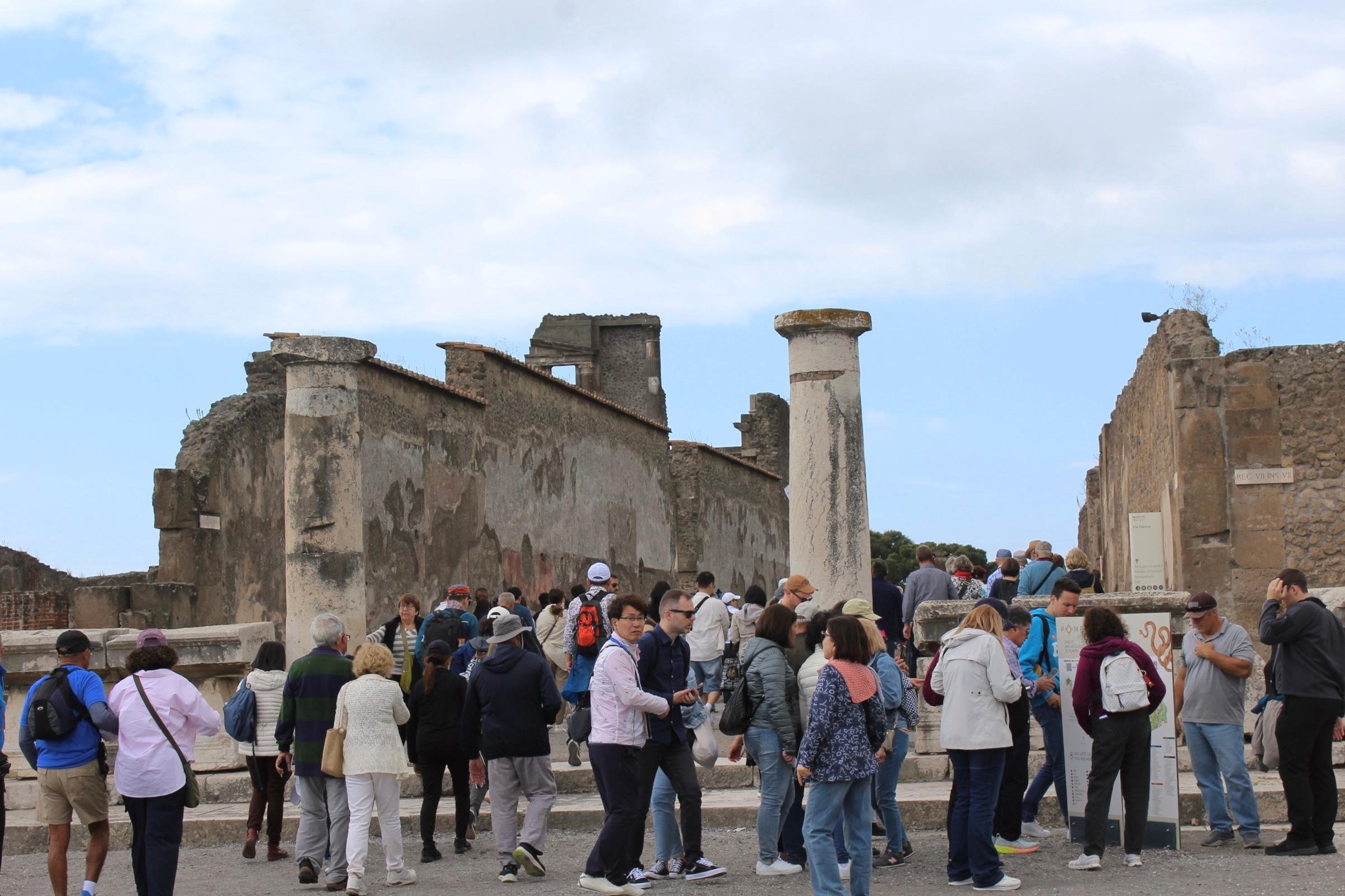 From Naples: Pompeii and Vesuvius Shuttle w/ Priority Ticket - Mount Vesuvius crater tour and Bay of Naples views