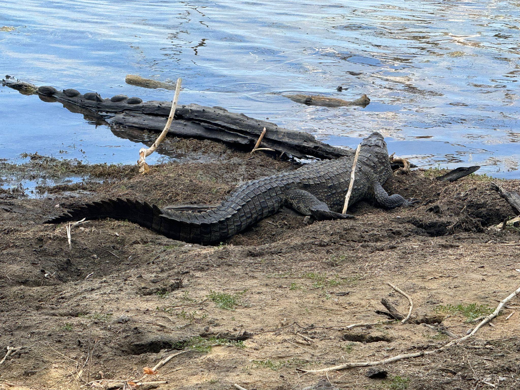Full-Day Wilpattu National Park Safari from Anuradhapura