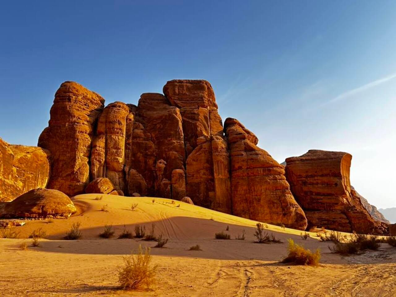 Petra & Wadi Rum: One-Day Private or Group Journey