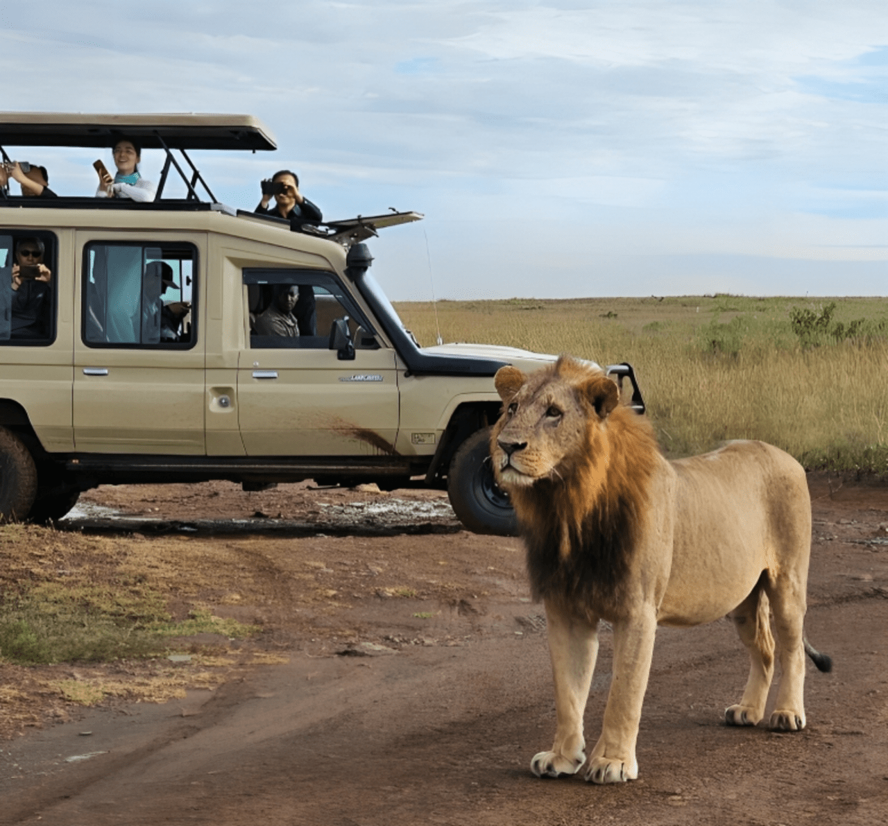 Nairobi National Park Half-Day Wildlife Safari