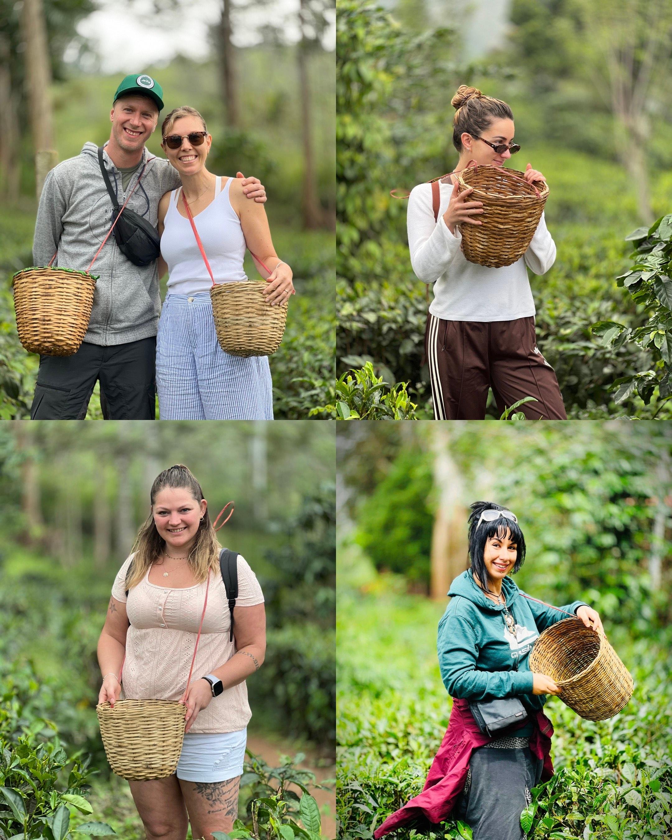Ella: Hands-On Tea Crafting and Tasting Experience