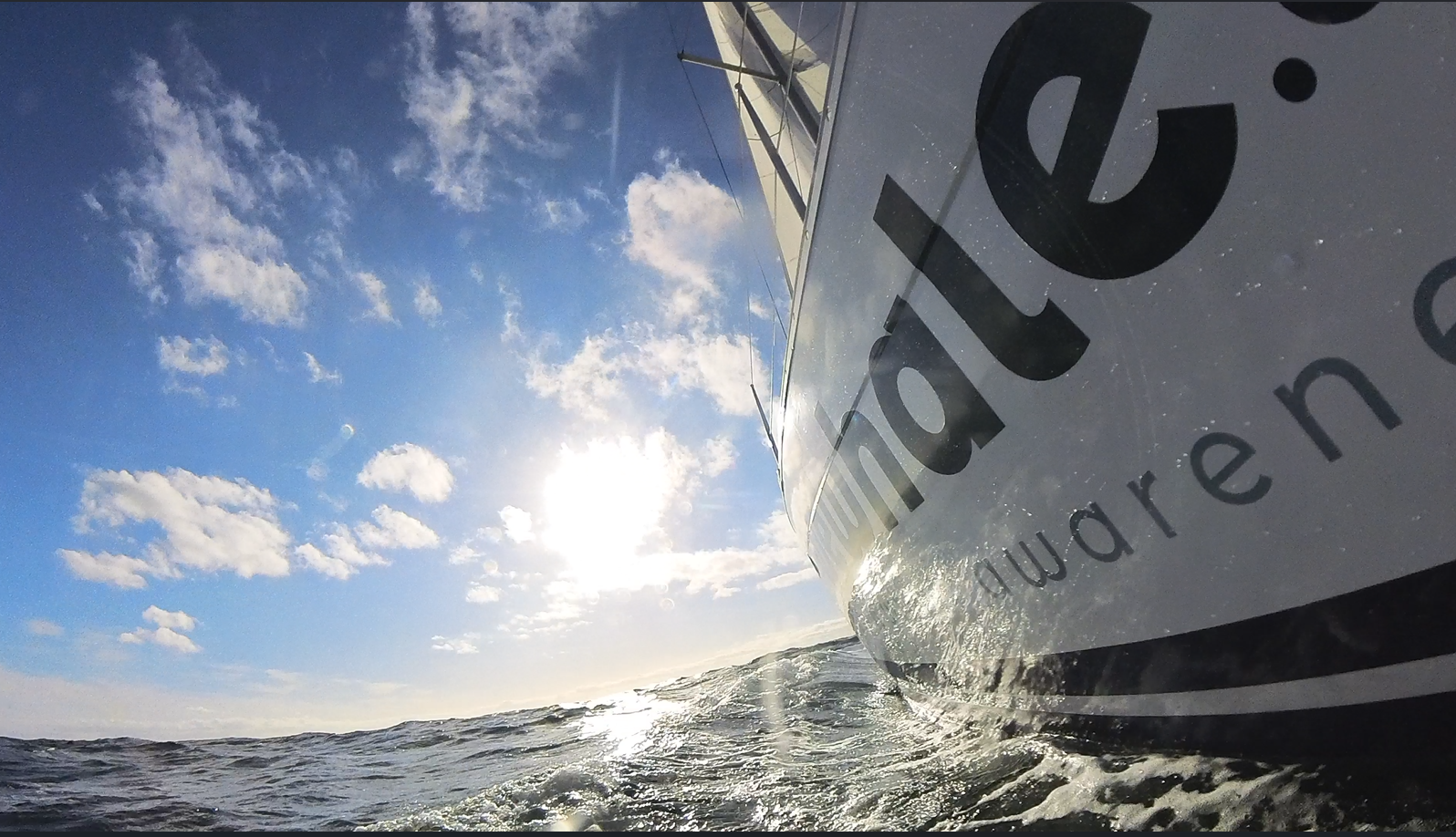 Electric Sailboat Sunset Cruise with Dolphin Watching