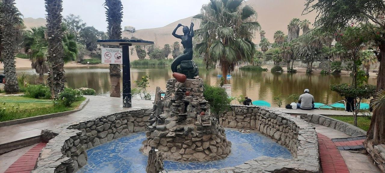 Excursión de un día a Paracas y Huacachina: vida silvestre, aventura en el desierto y cata de vinos