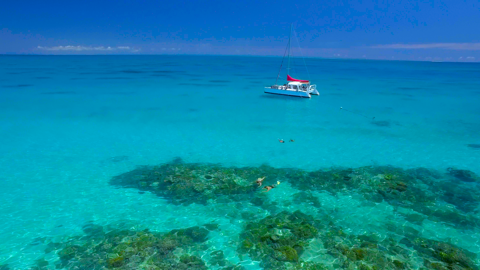 Great Barrier Reef Snorkel Adventure