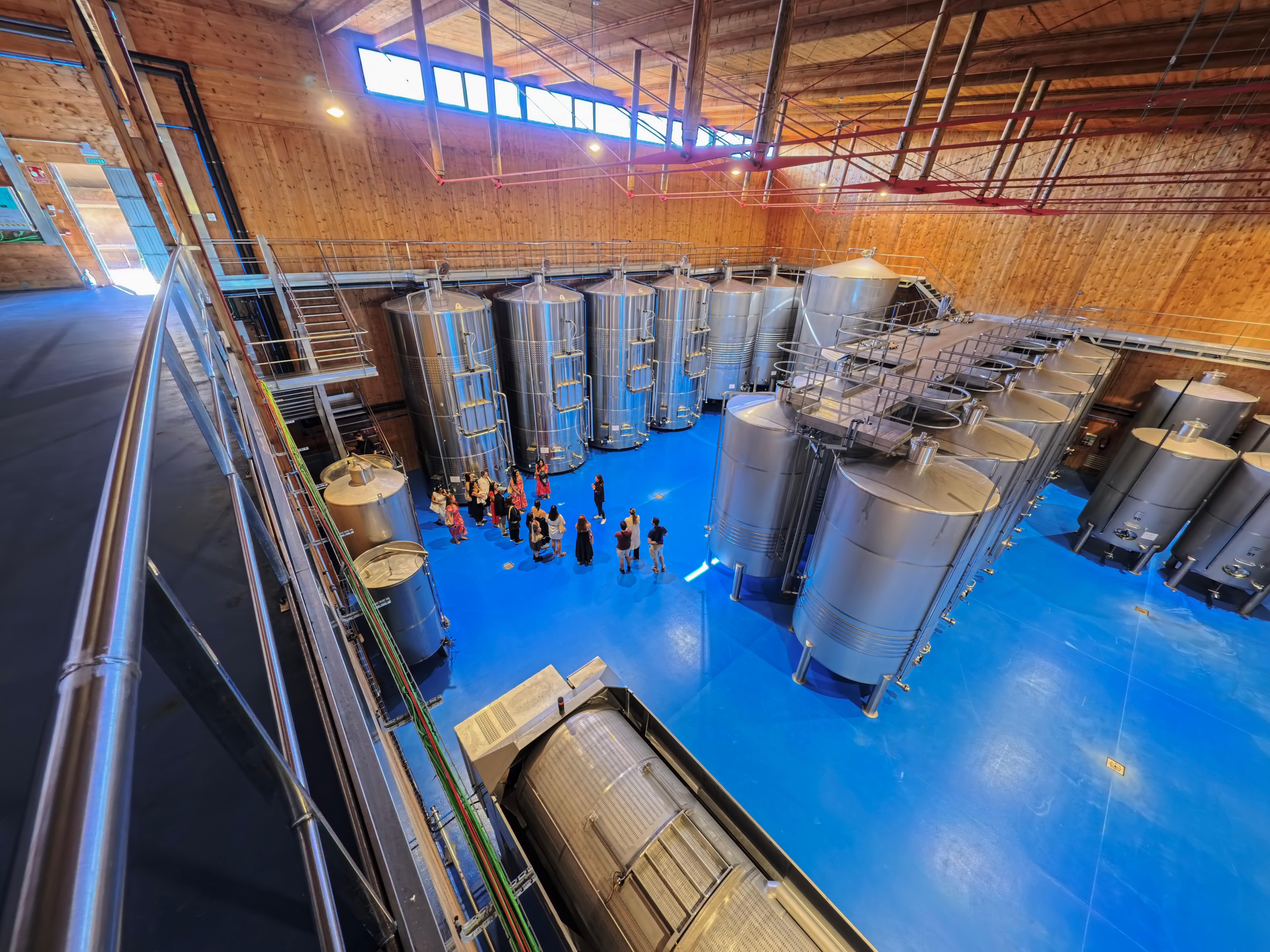 wine tour in Ribera del Duero — photo 13