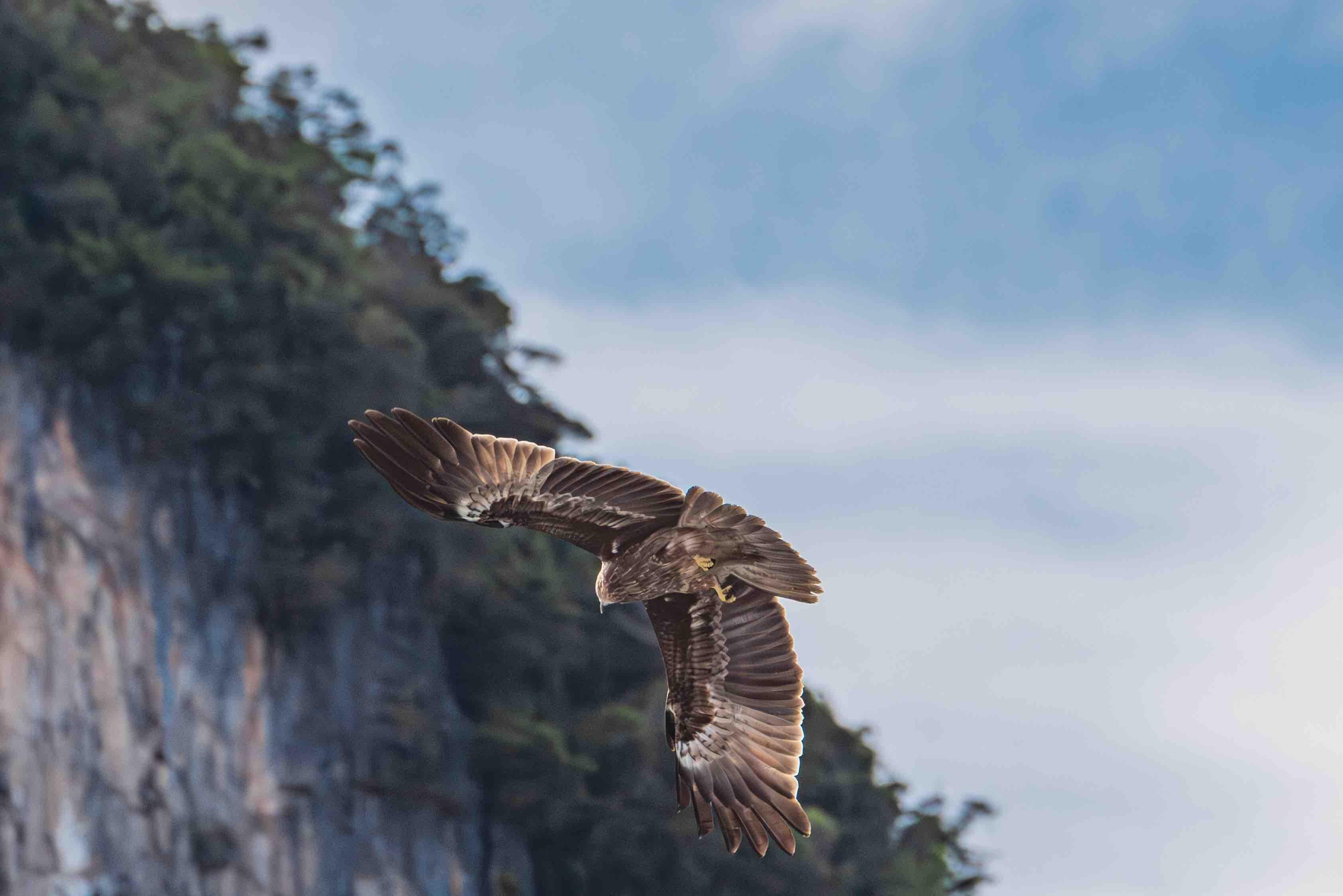 James Bond Island & Phang Nga Bay Premium Catamaran Cruise