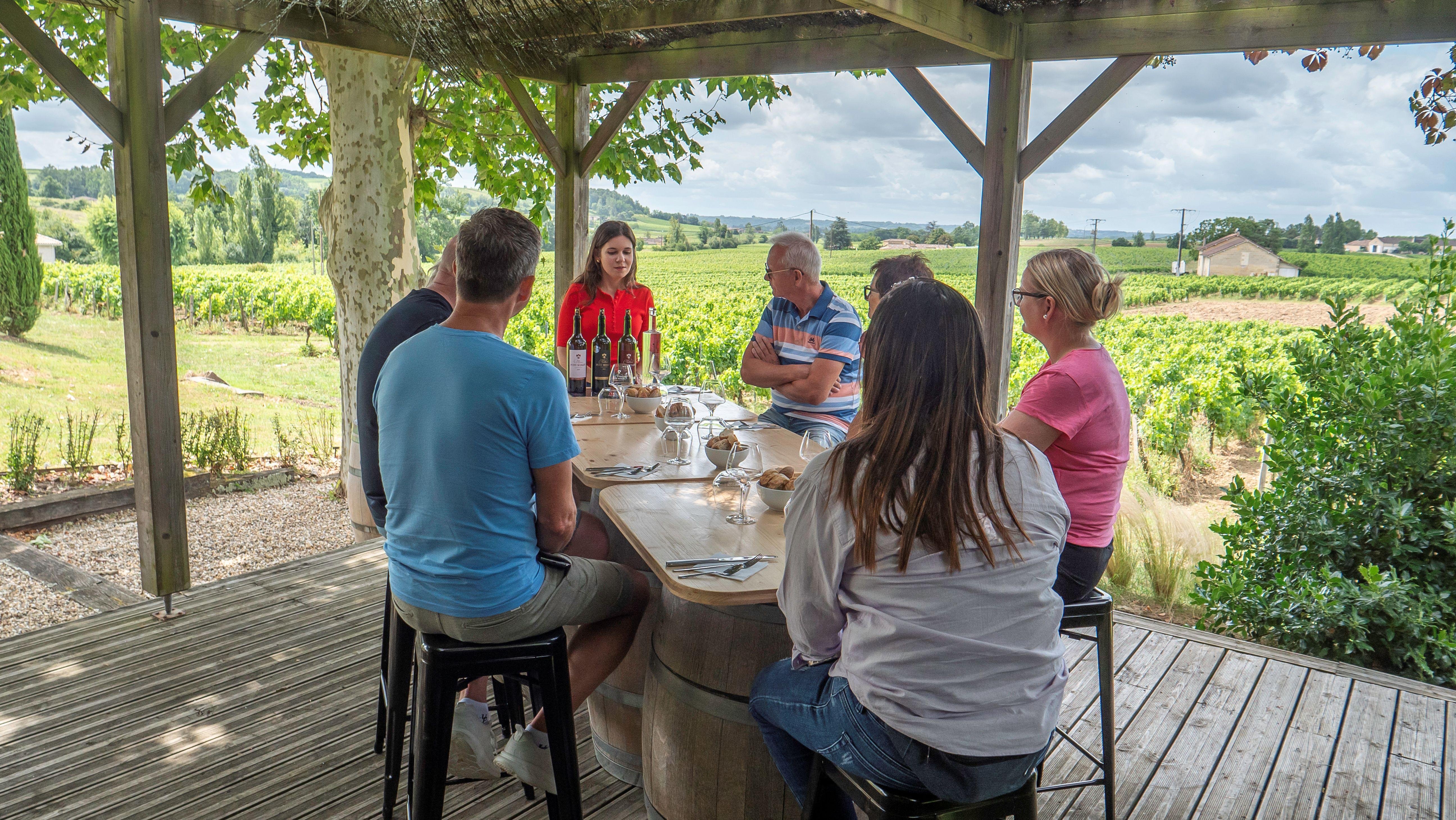 wine tasting in Bordeaux — From Bordeaux: St-Emilion Day Tour with Tastings and Lunch - 2026 (Verified Reviews)