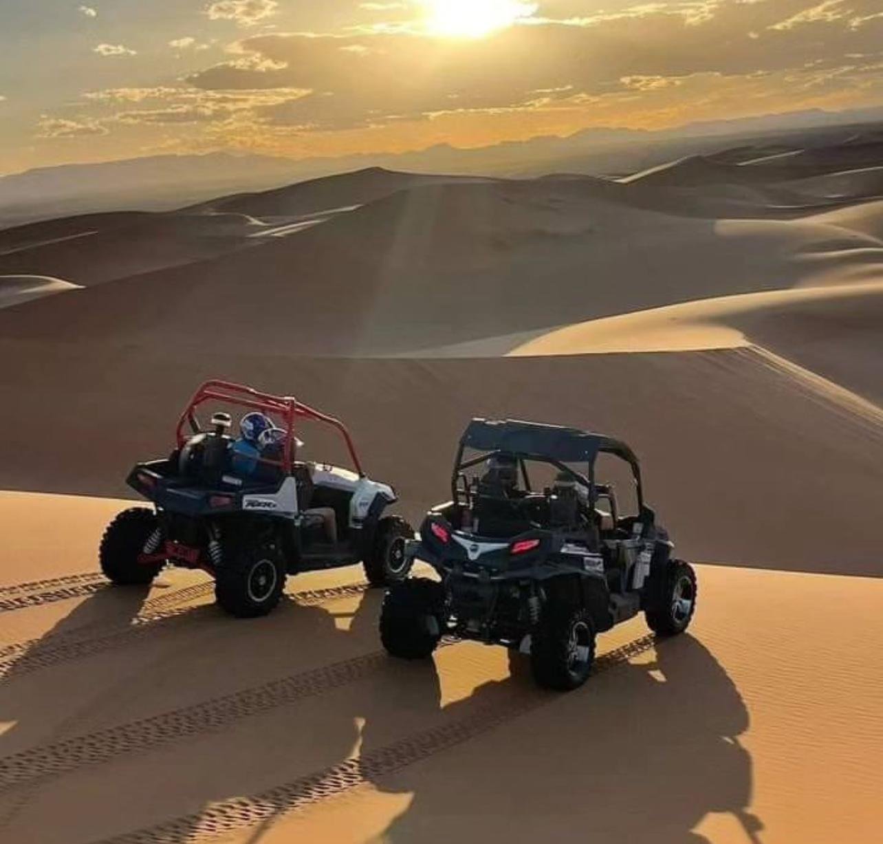 Doha: Inland Sea Desert Safari & Dune Bashing