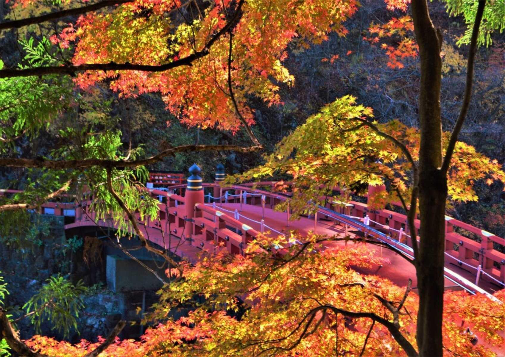 Nikko Private Day Tour from Tokyo with English-Speaking Driver