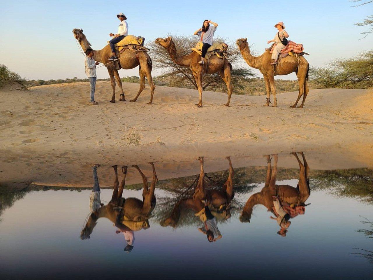 Jodhpur Overnight Desert Escape & Camel Safari