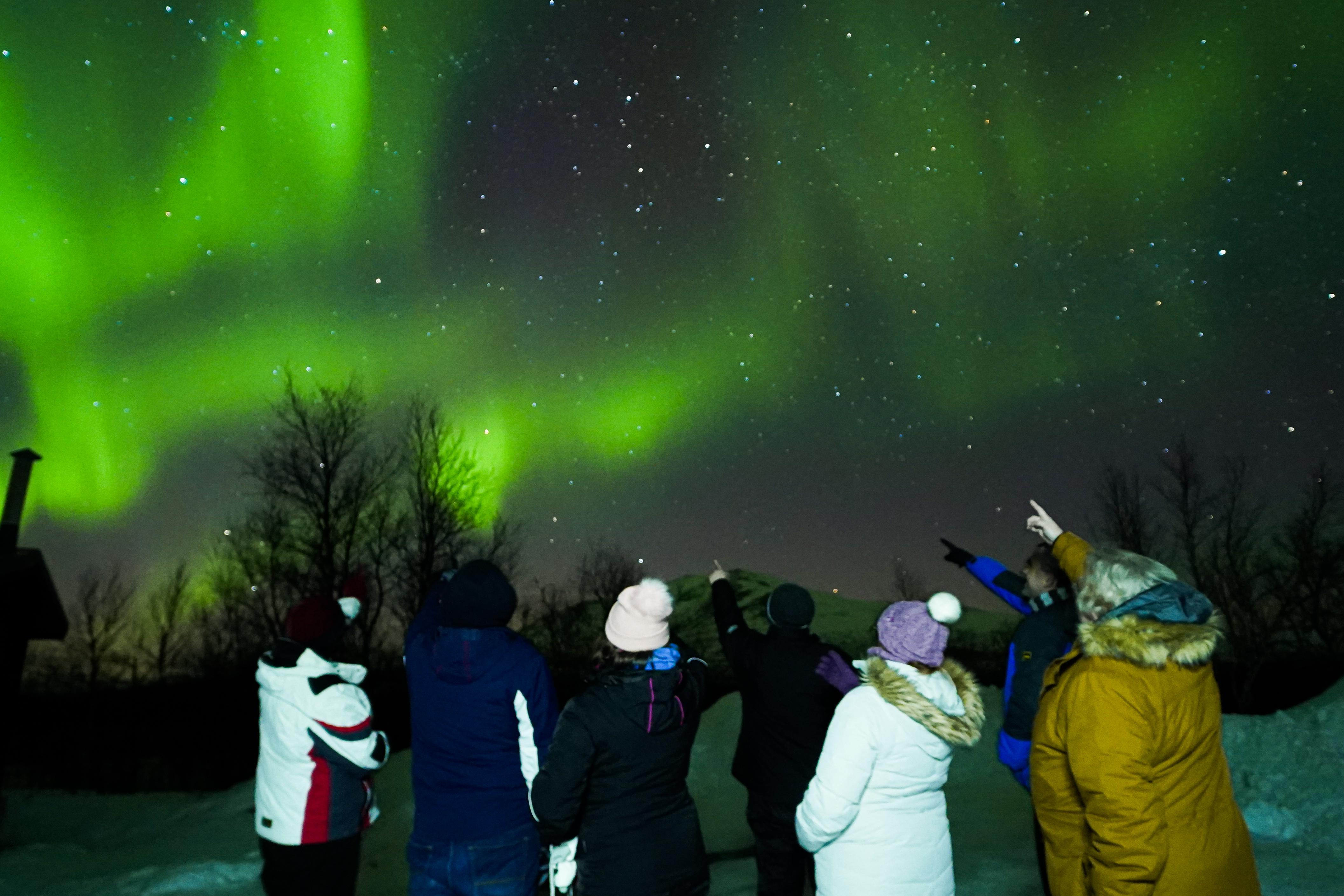 Abisko National Park Small-Group Northern Lights Tour from Kiruna