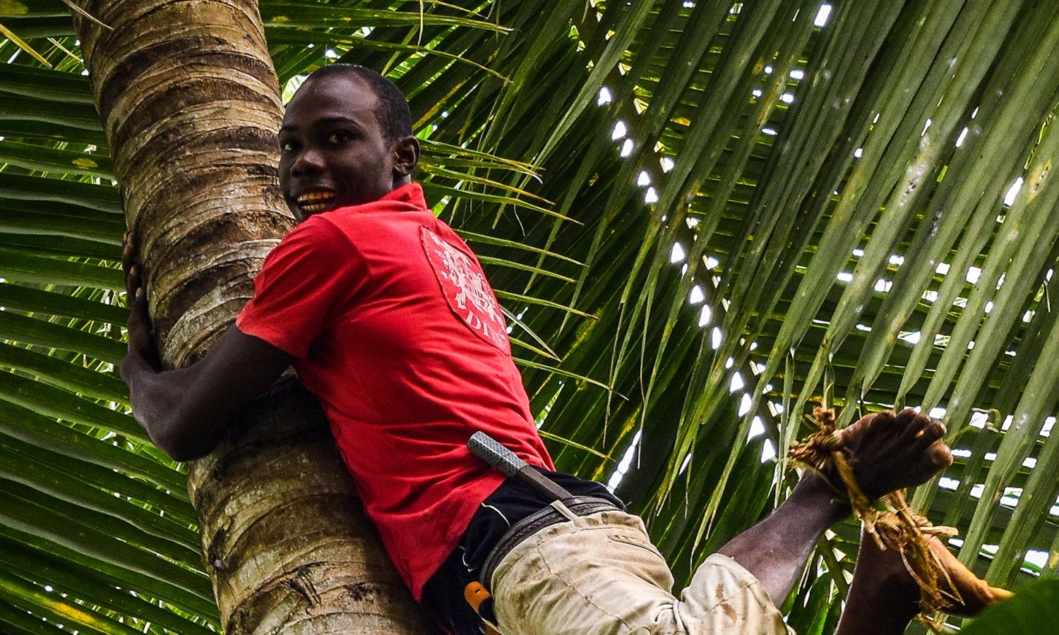 Zanzibar Private Spice Farm Tour with Local Guide