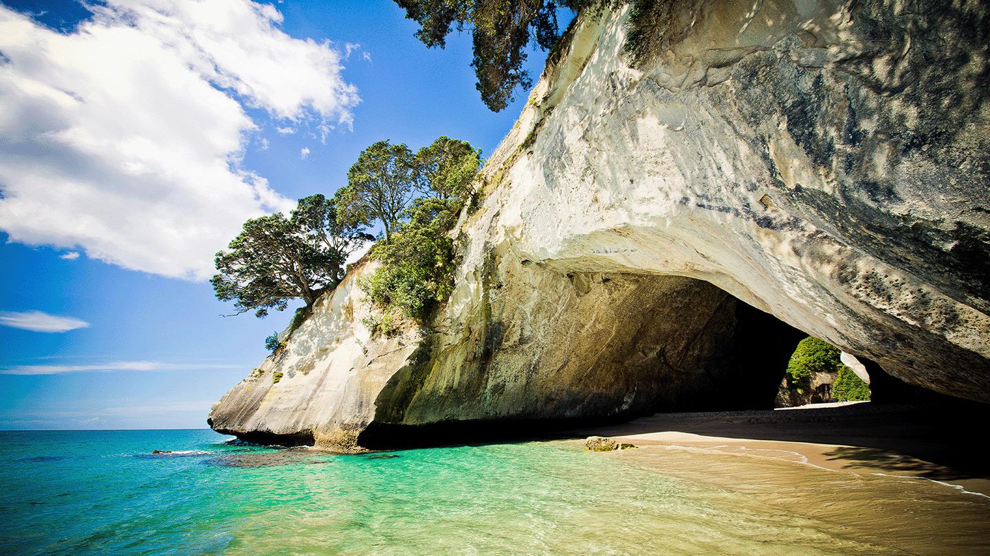 Coromandel Peninsula Adventure with Hot Water Beach & Cathedral Cove