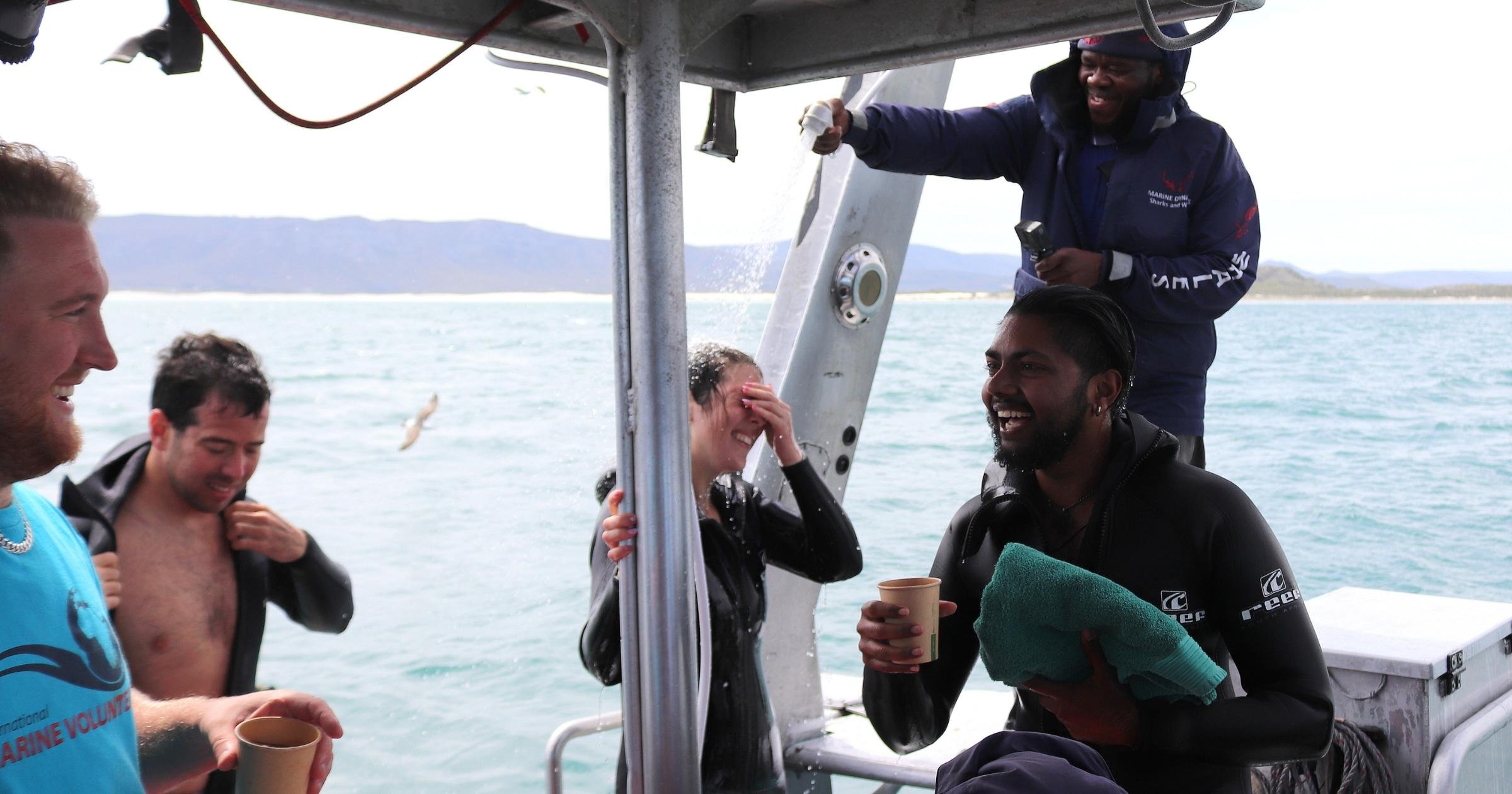Gansbaai Eco Shark Cage Diving from Cape Town