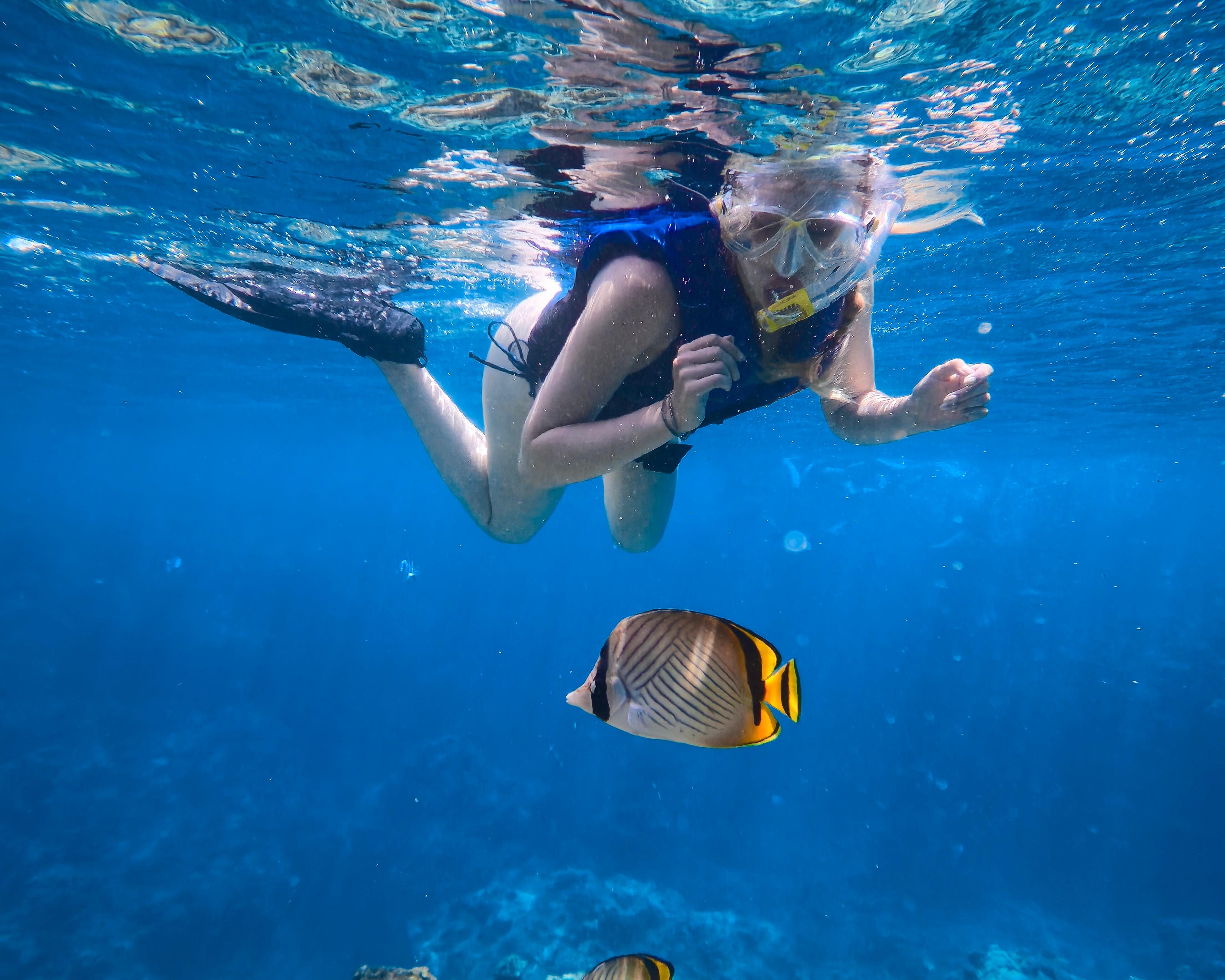 Blue Cave Okinawa snorkelling at Cape Maeda, Onna Village — image 9