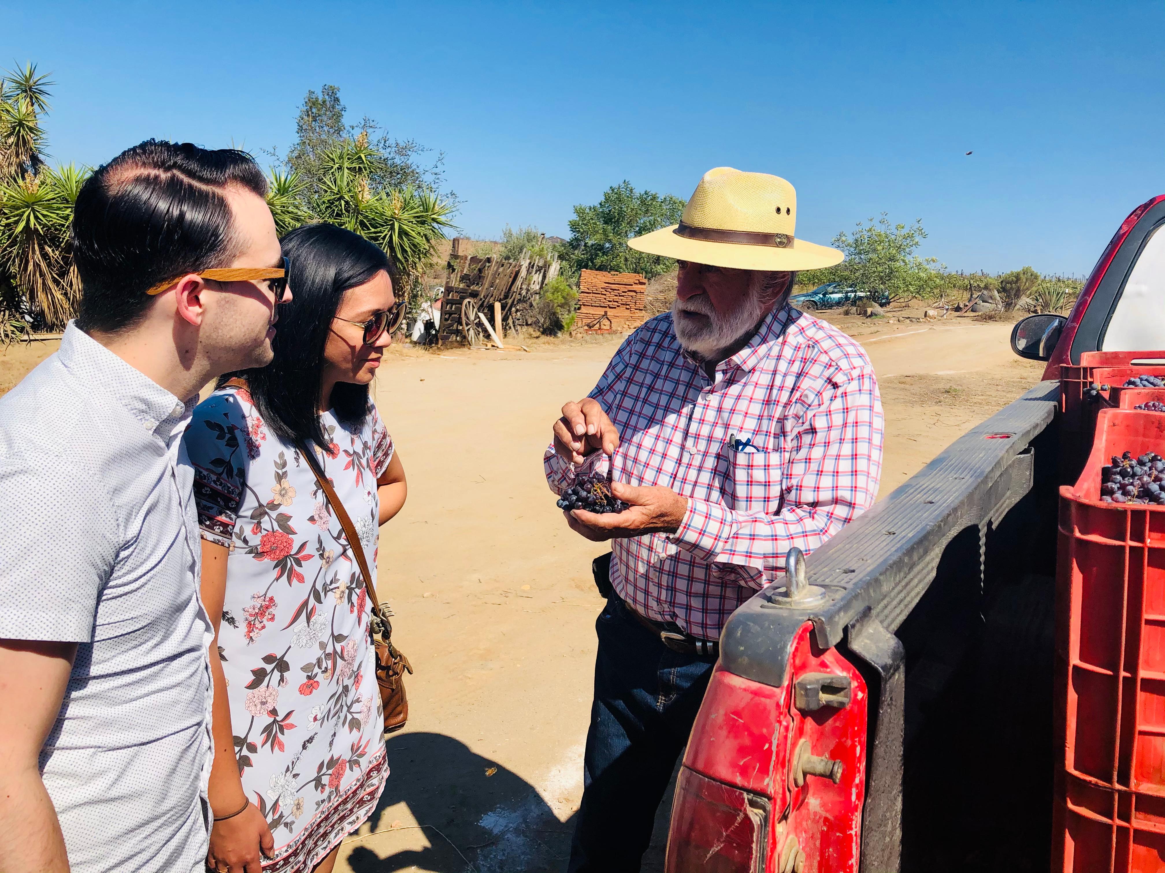 wine tour in Valle de Guadalupe — photo 22