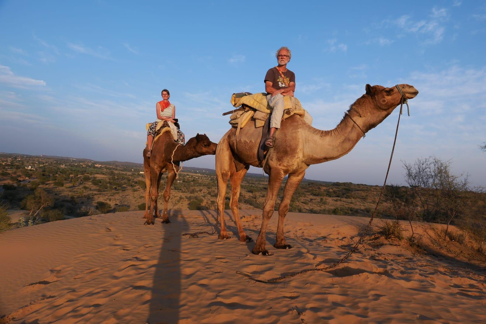 Jodhpur: Thar Desert Camel & Jeep Safari with Traditional Dining