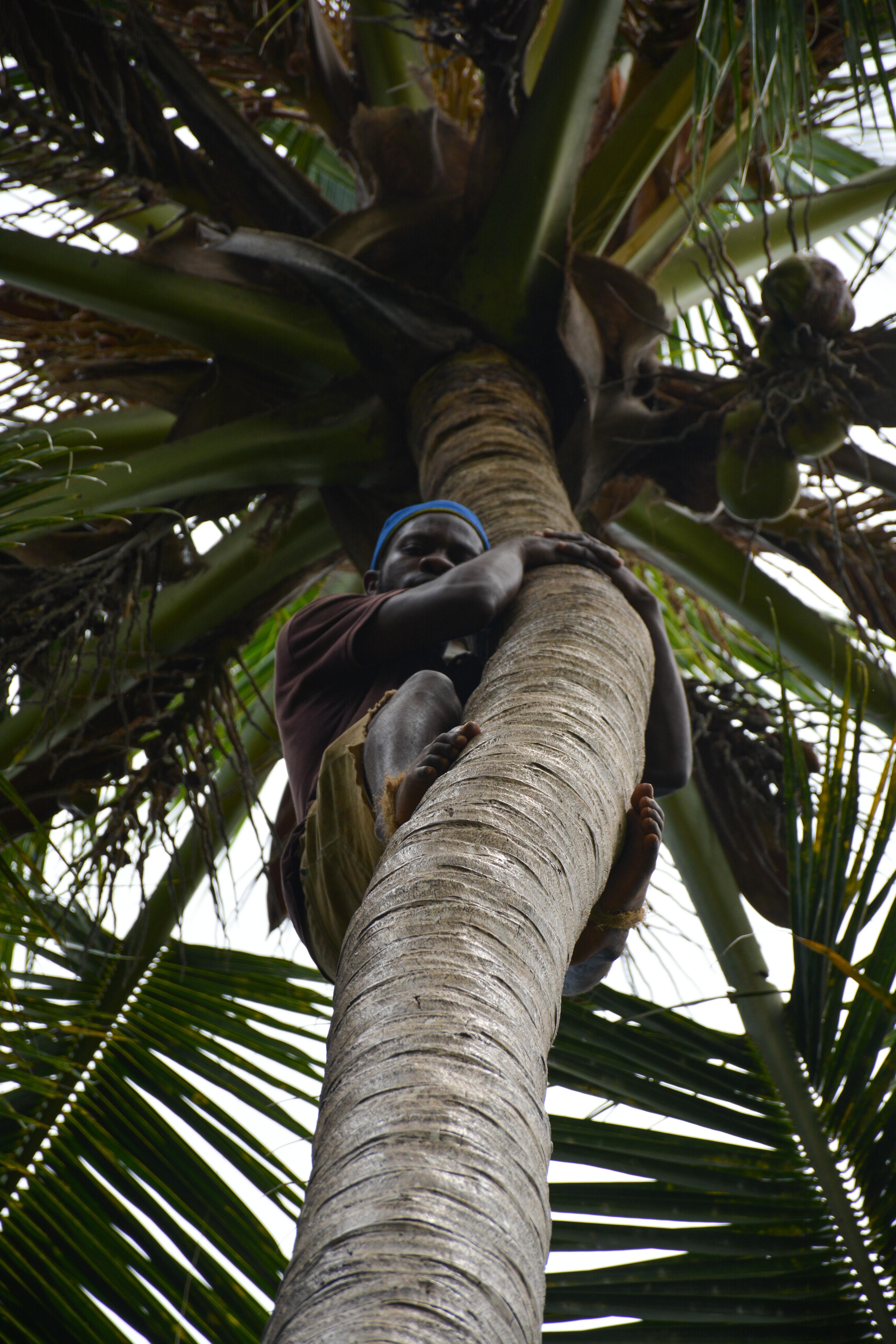 Zanzibar Full-Day Discovery: Stone Town, Spice Farm & Prison Island